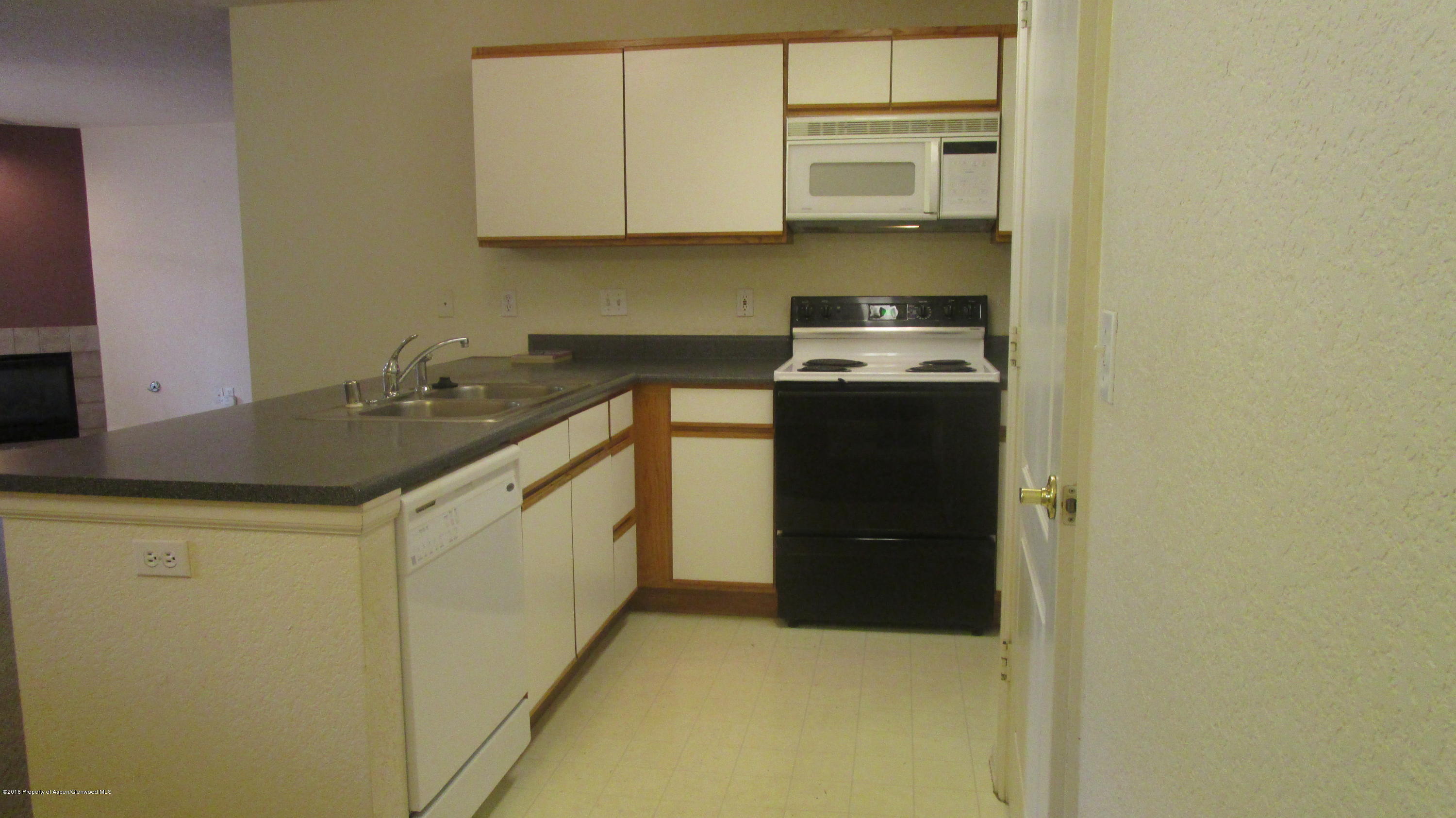 9101 Elk Lane Basalt CO 81621
