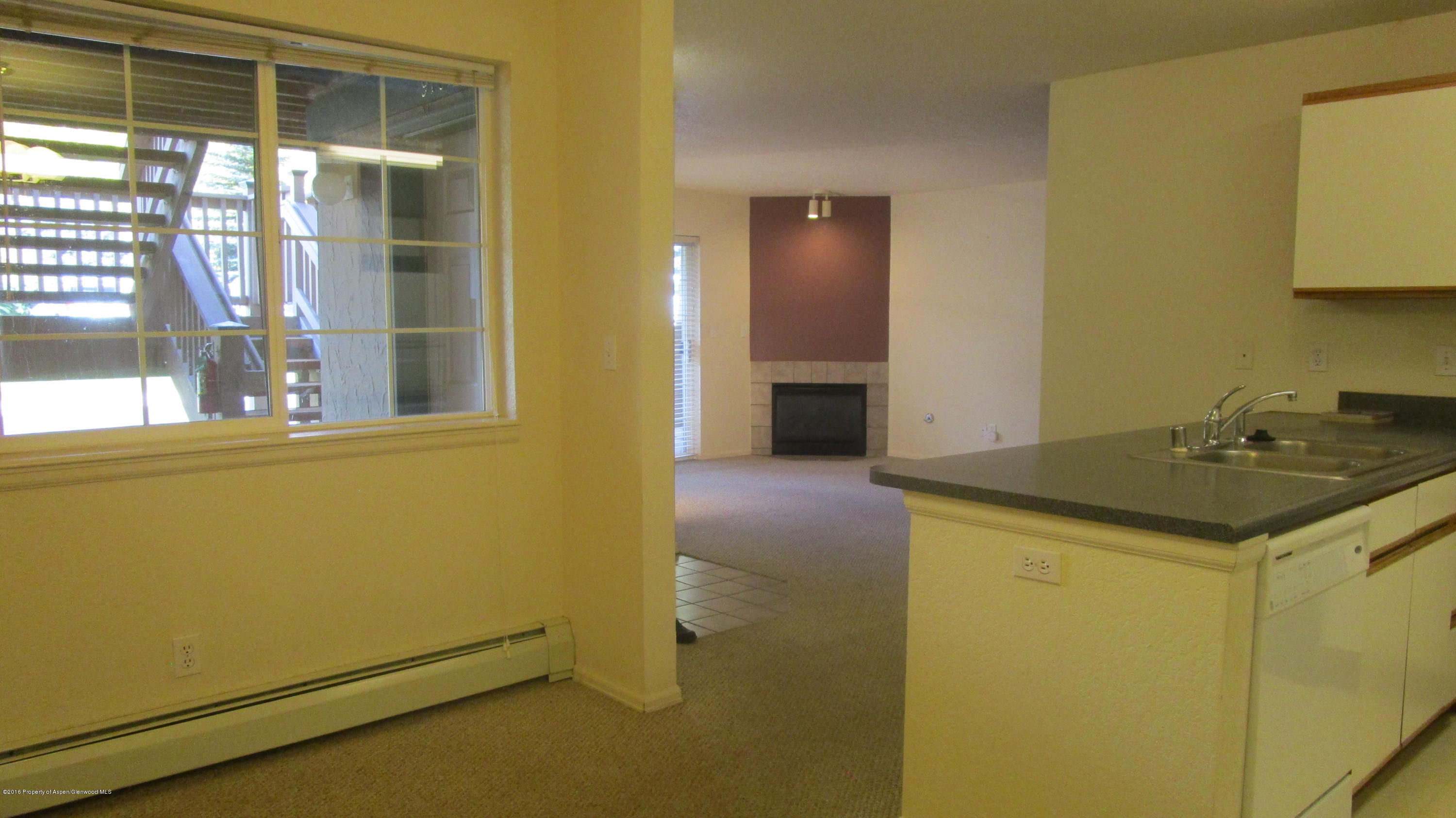 9101 Elk Lane Basalt CO 81621
