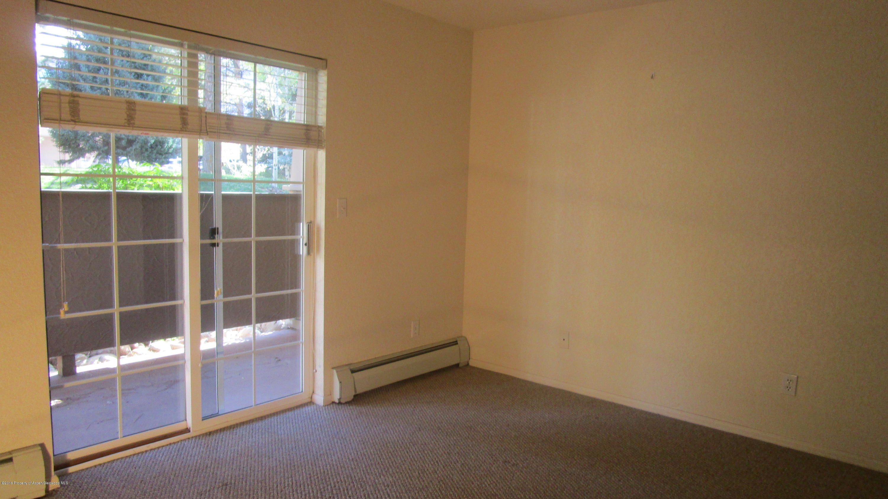 9101 Elk Lane Basalt CO 81621