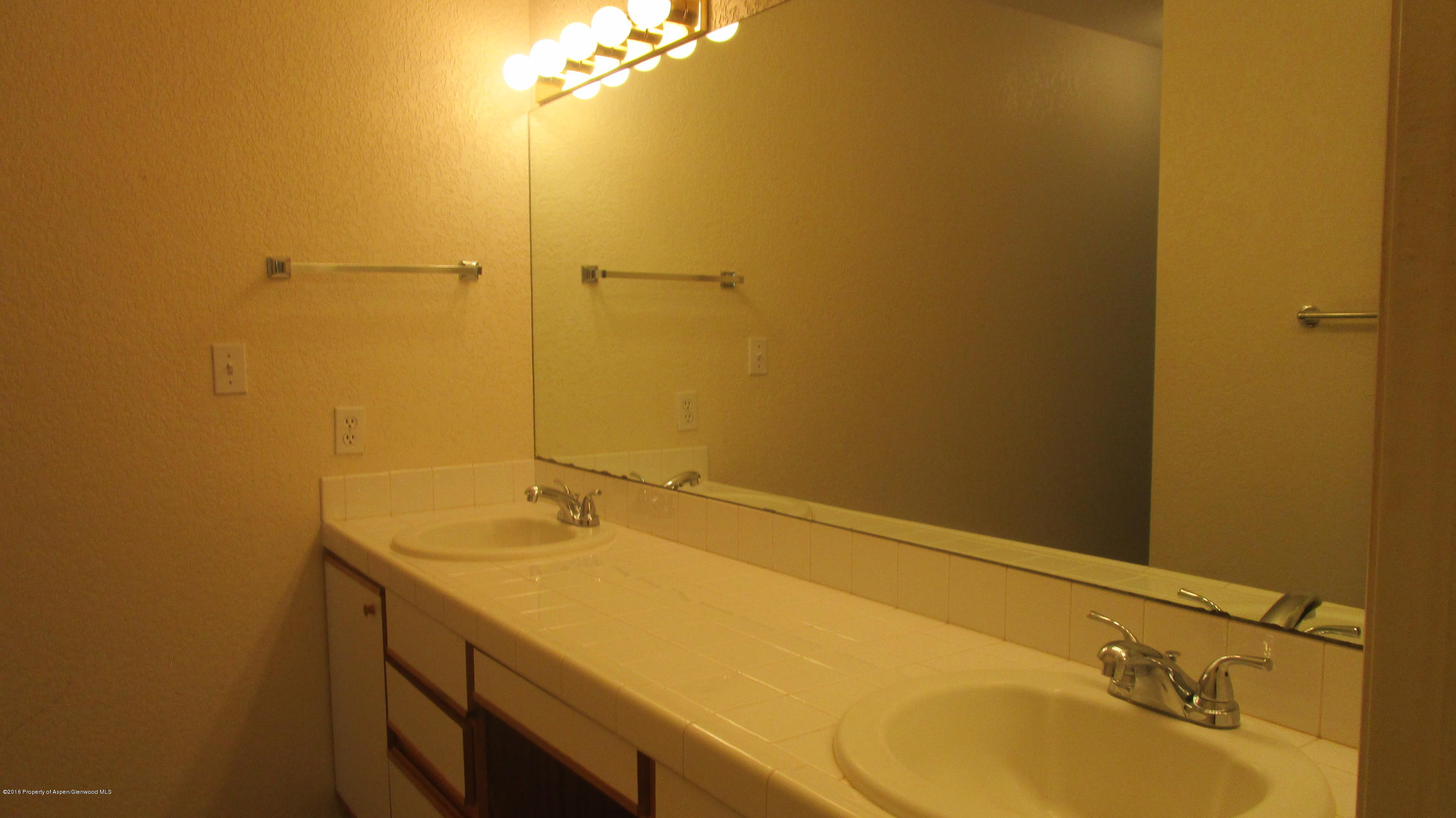 9101 Elk Lane Basalt CO 81621