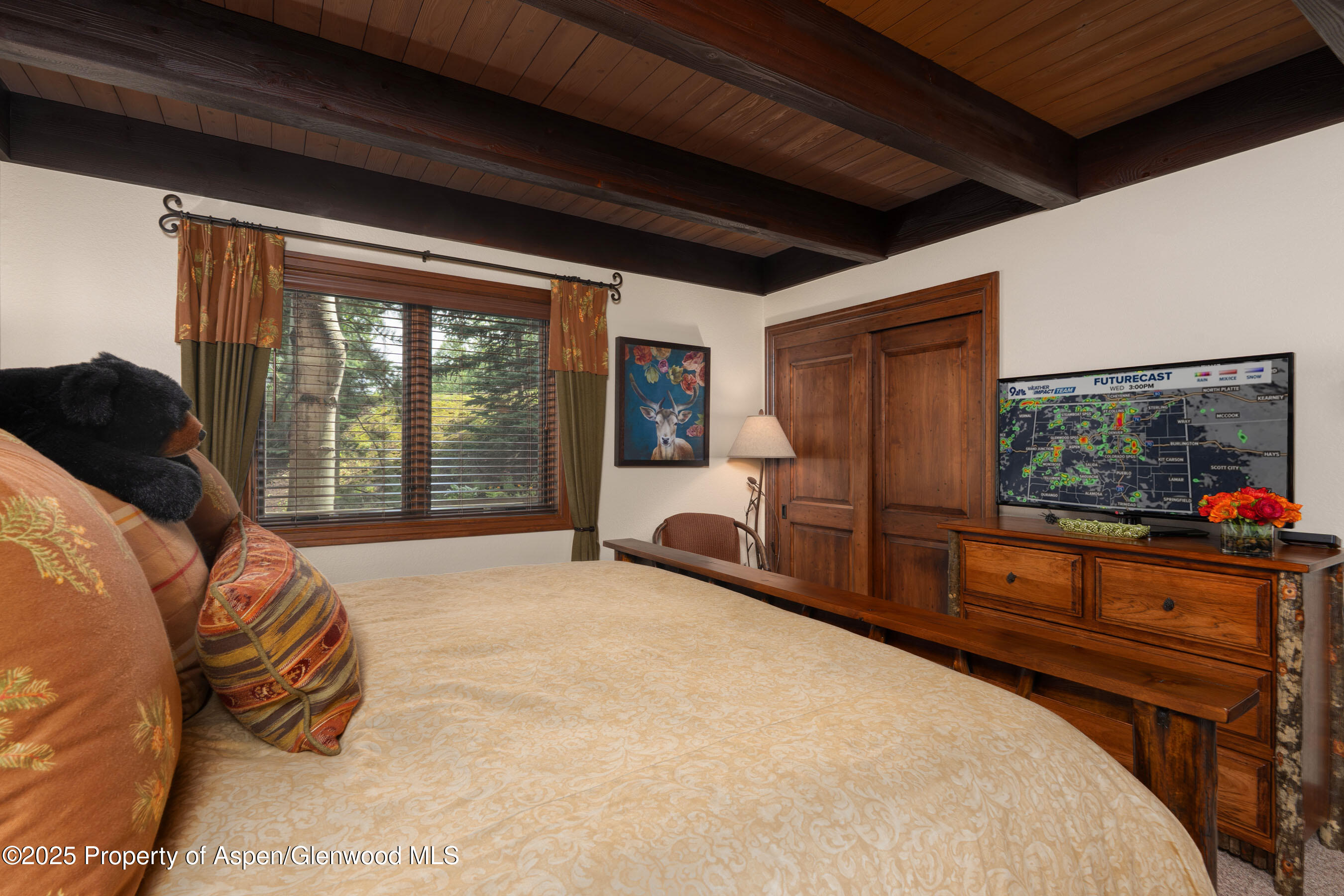 229 Faraway Road Snowmass Village CO 81615