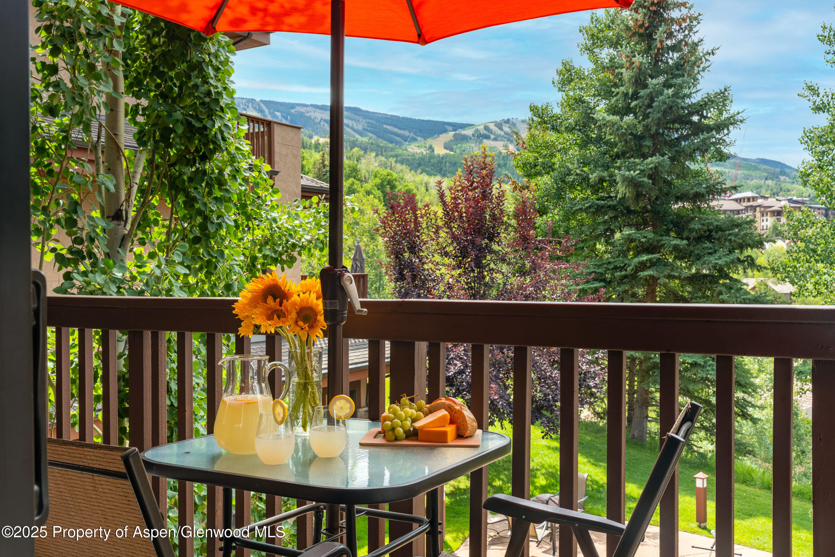 229 Faraway Road Snowmass Village CO 81615