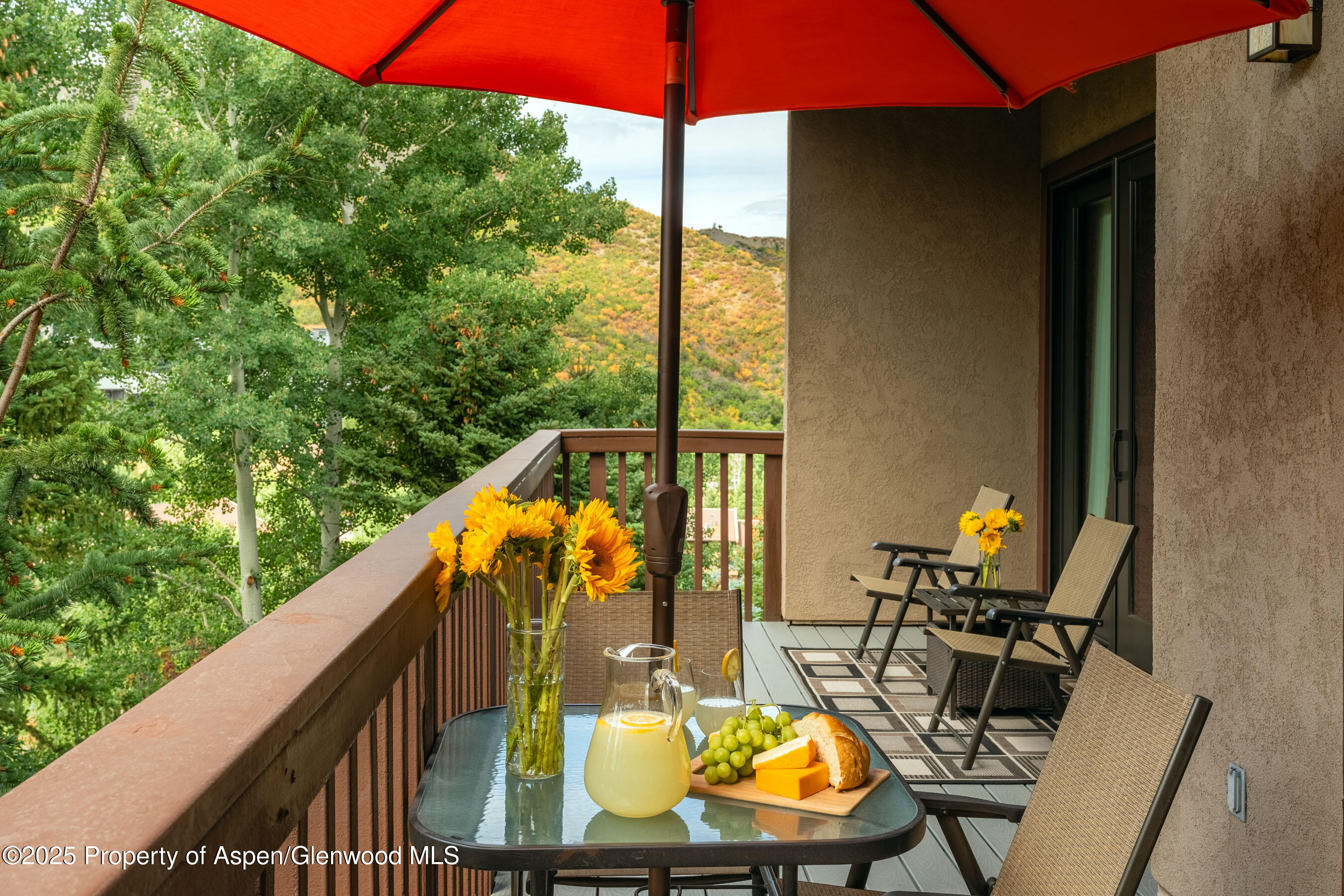 229 Faraway Road Snowmass Village CO 81615