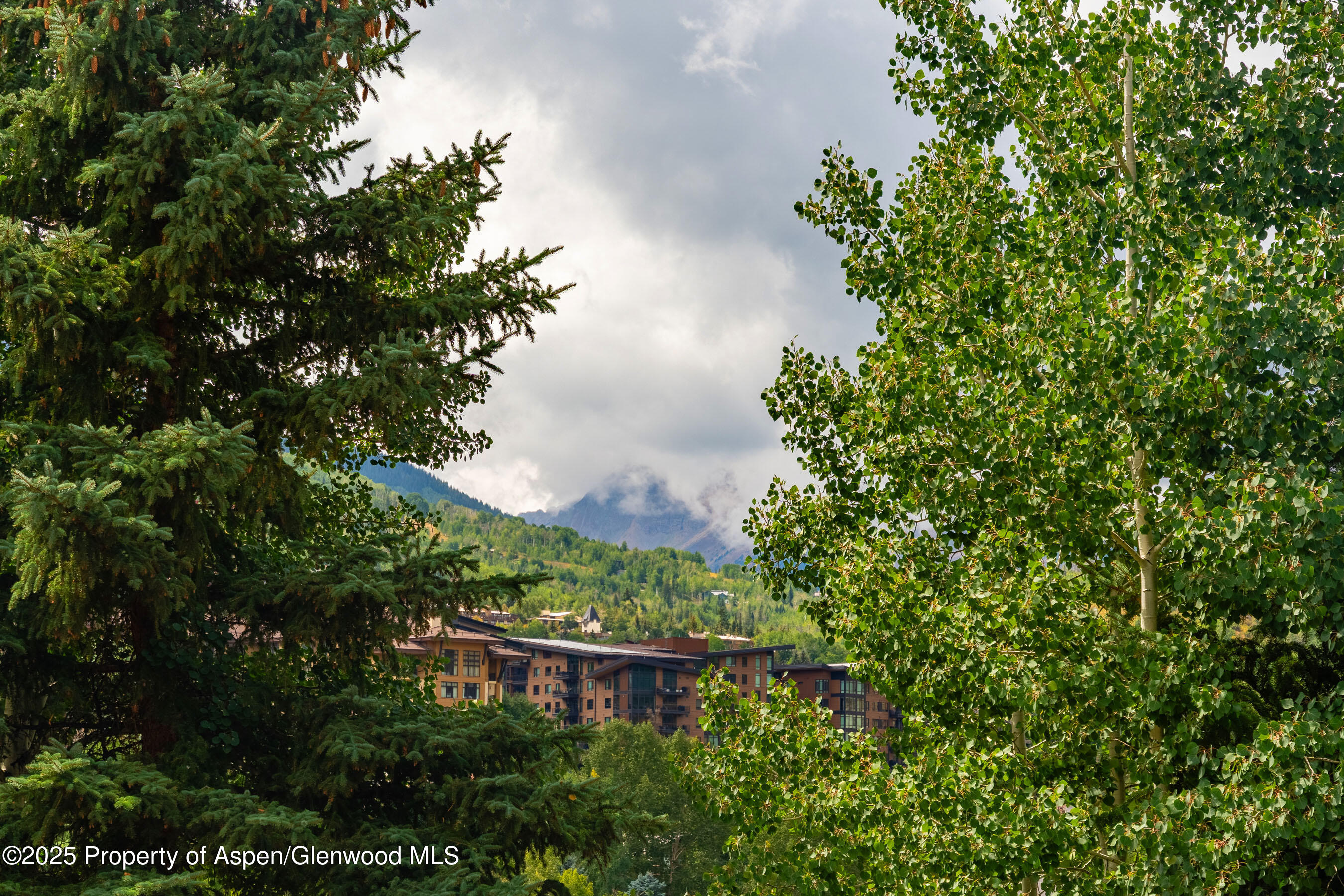 229 Faraway Road Snowmass Village CO 81615