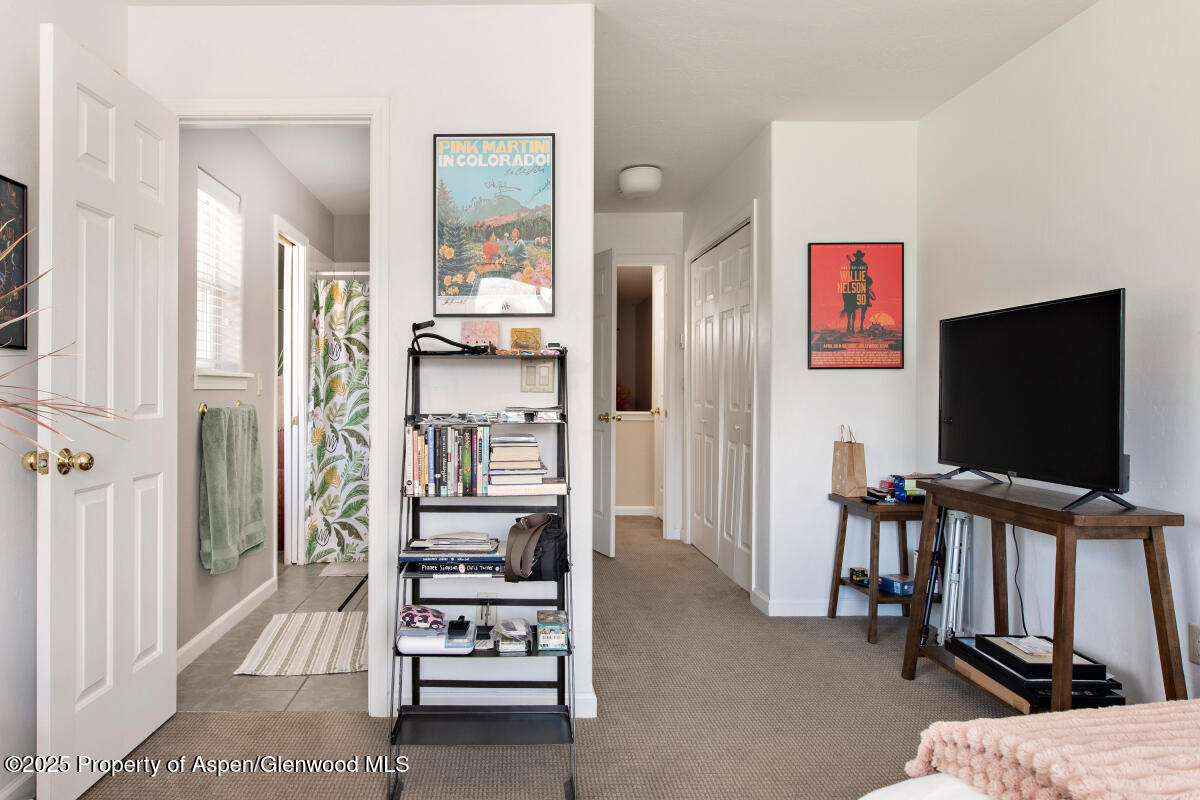 1199 Vitos Way Carbondale CO 81623