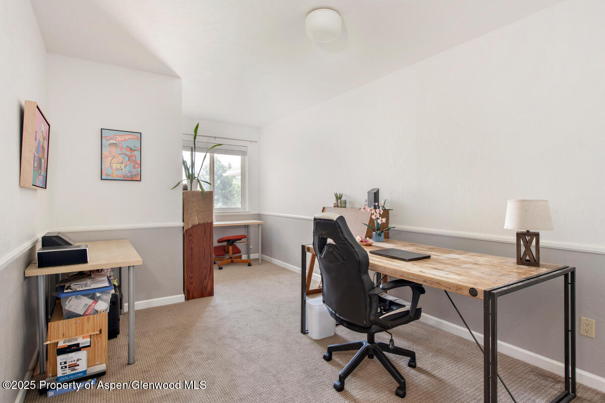 1199 Vitos Way Carbondale CO 81623