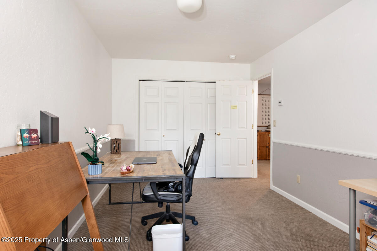 1199 Vitos Way Carbondale CO 81623