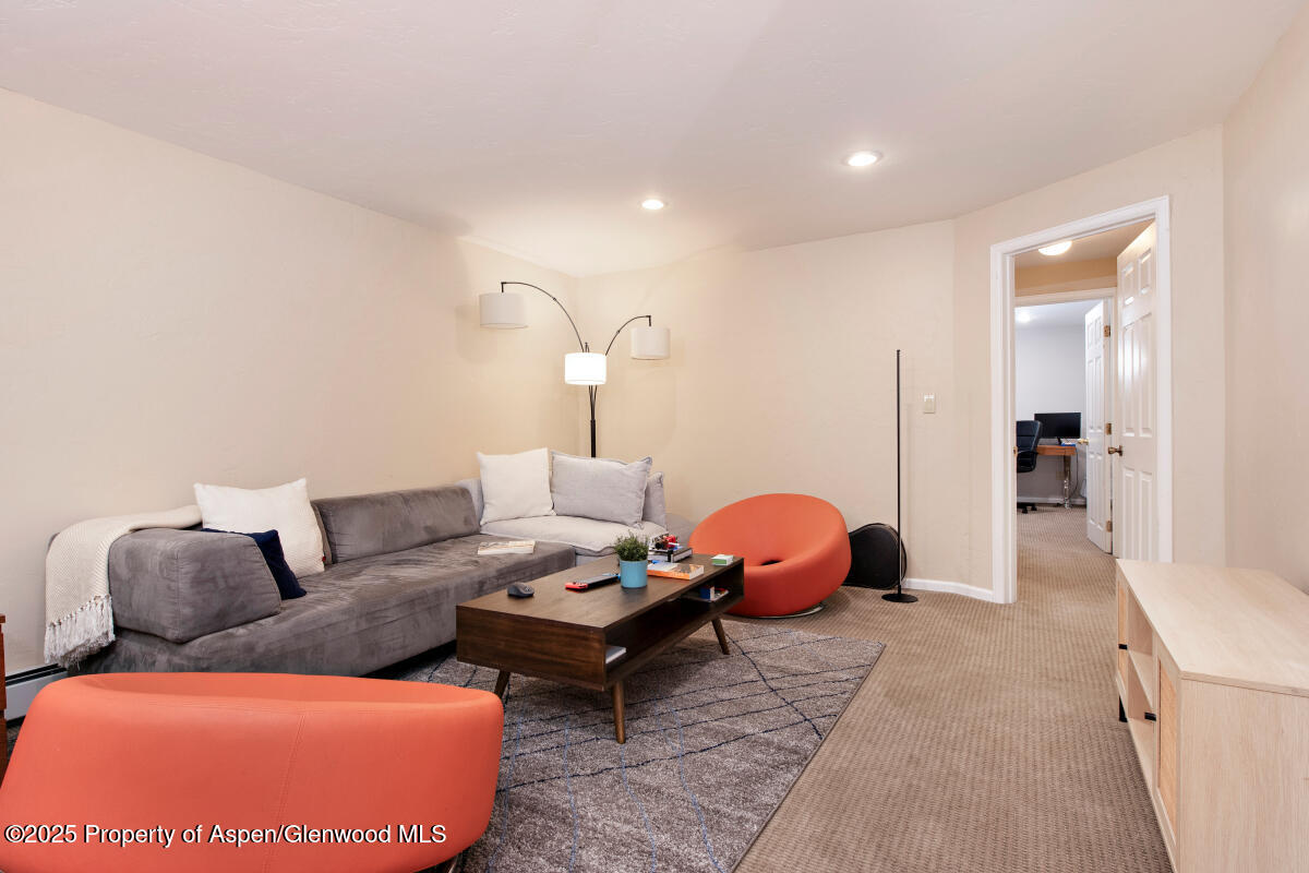 1199 Vitos Way Carbondale CO 81623