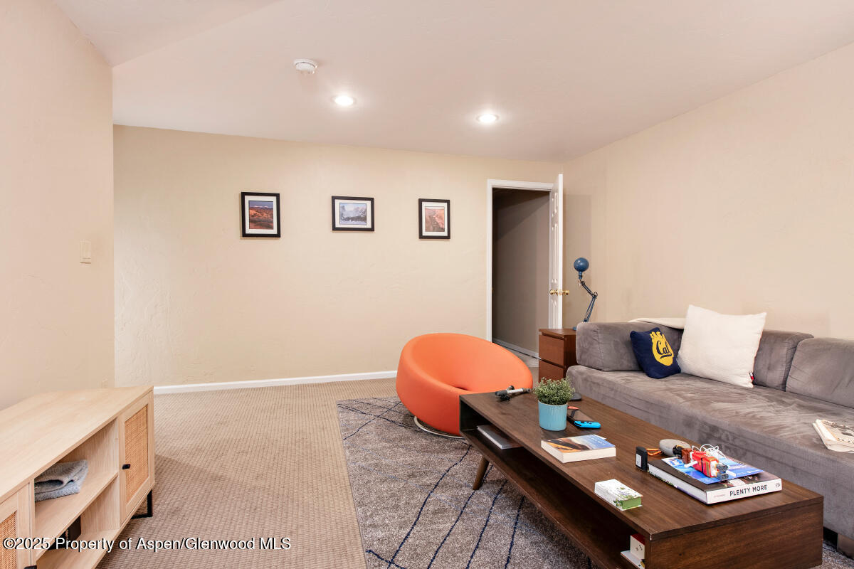 1199 Vitos Way Carbondale CO 81623