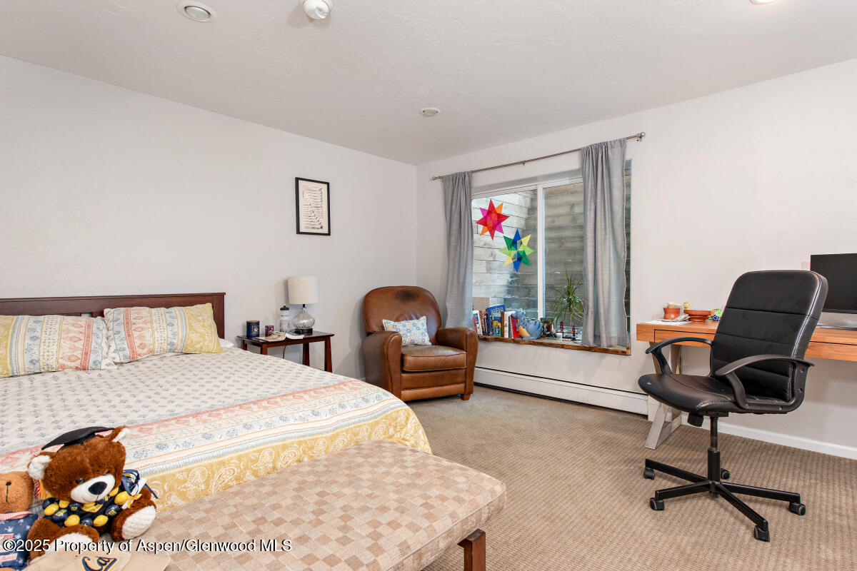 1199 Vitos Way Carbondale CO 81623