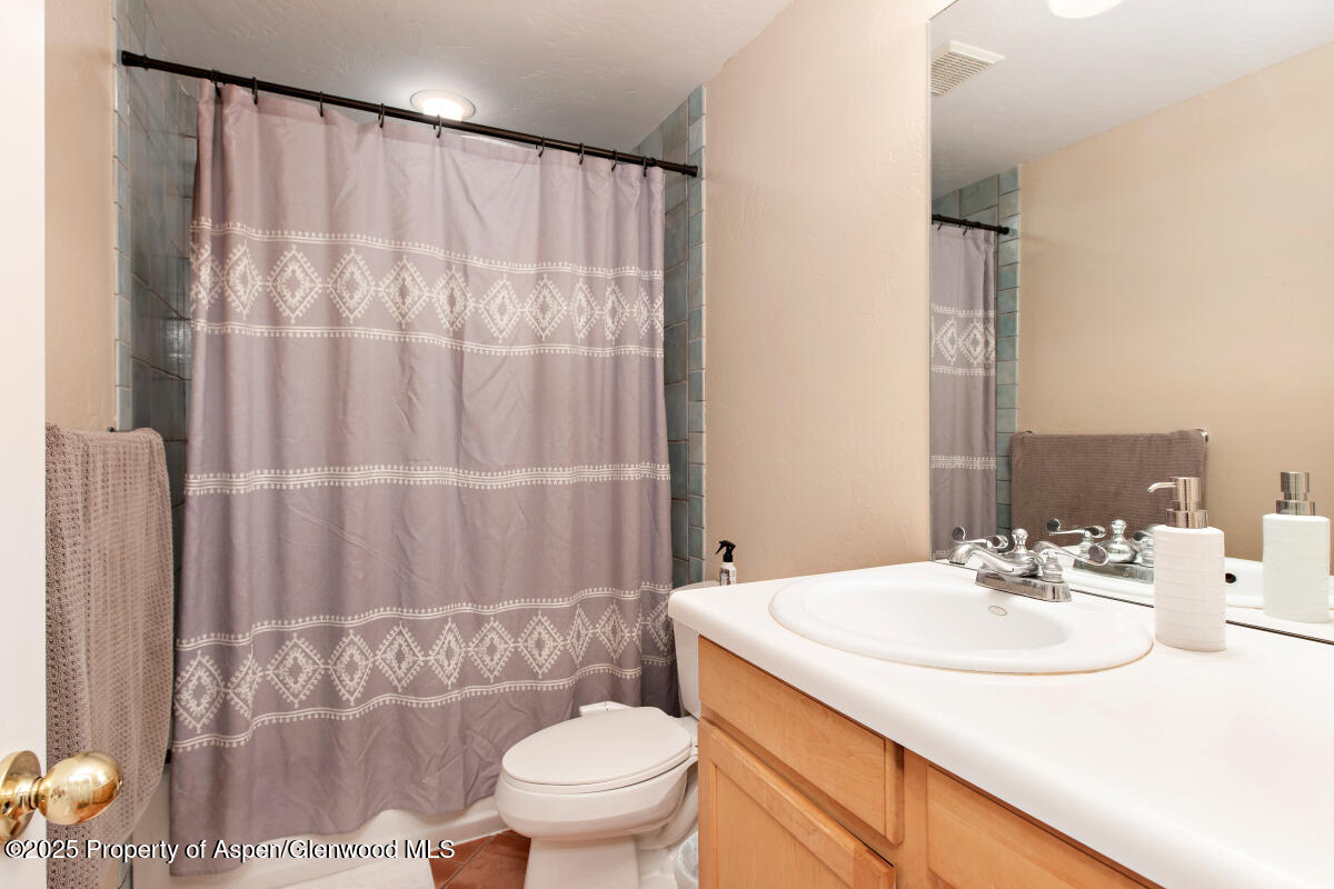 1199 Vitos Way Carbondale CO 81623