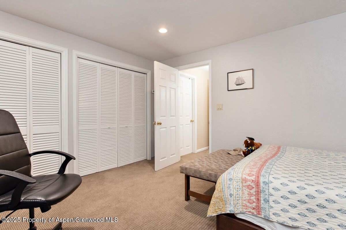 1199 Vitos Way Carbondale CO 81623