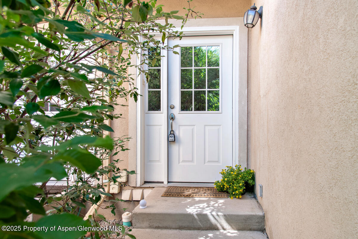 1199 Vitos Way Carbondale CO 81623