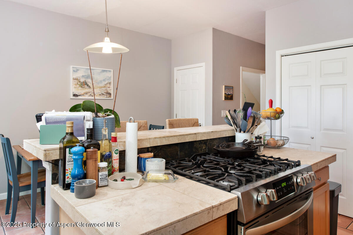 1199 Vitos Way Carbondale CO 81623