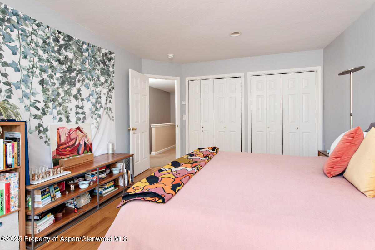 1199 Vitos Way Carbondale CO 81623