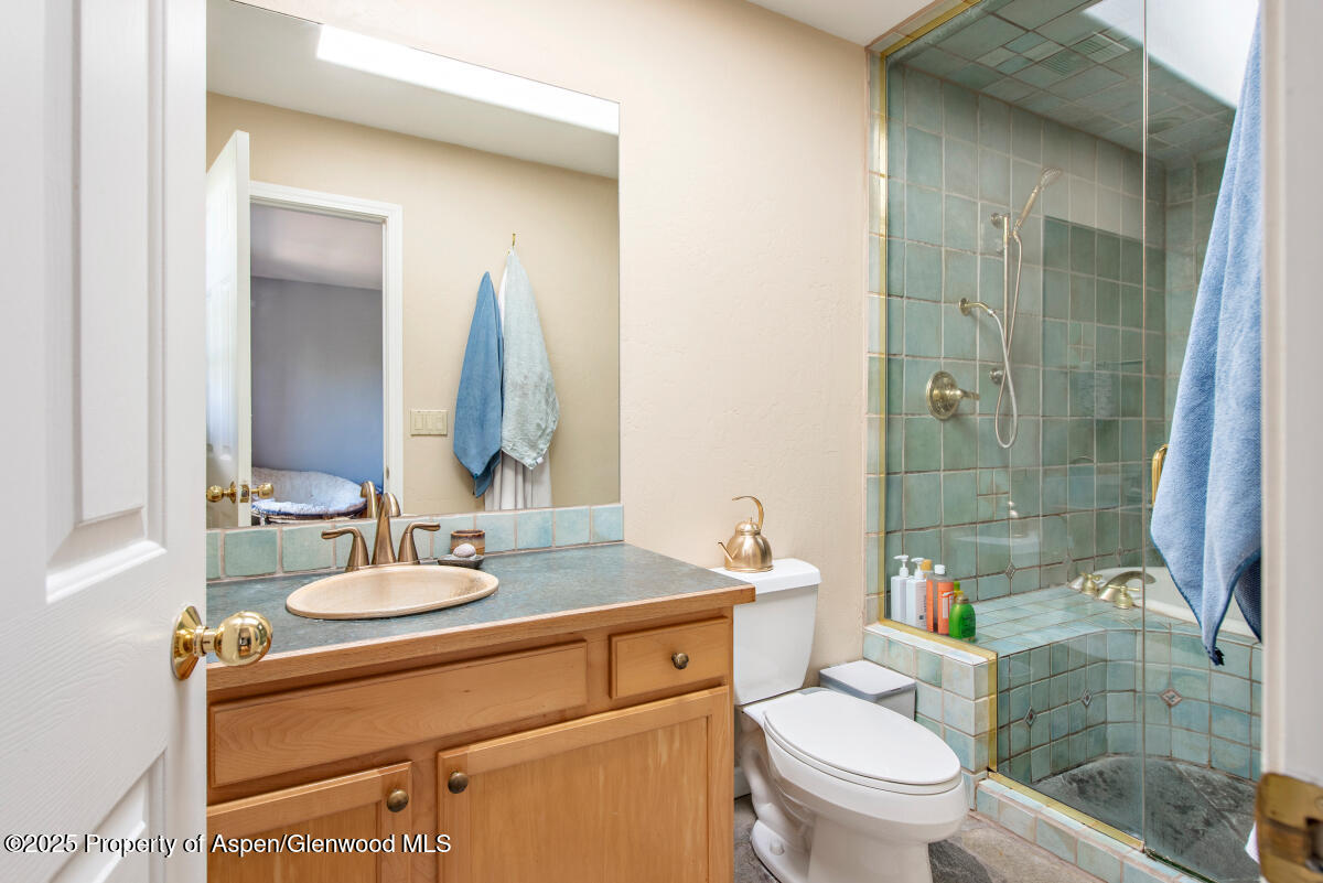 1199 Vitos Way Carbondale CO 81623