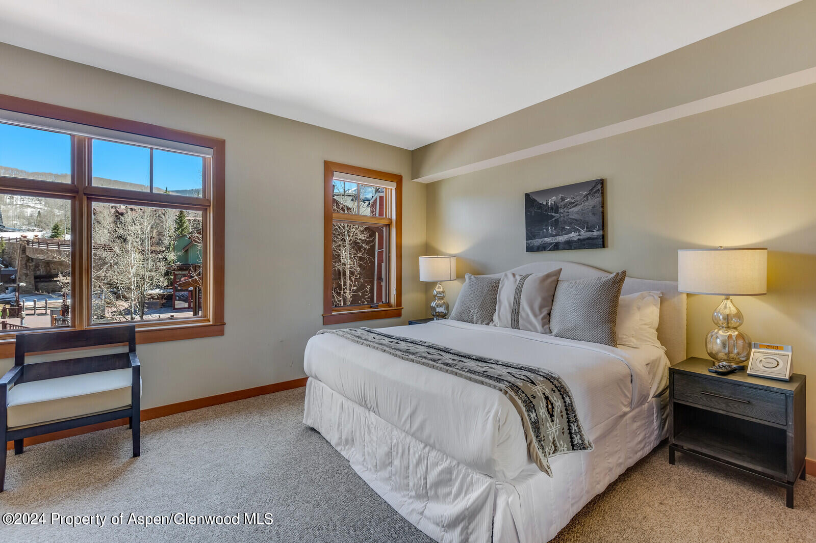 110 Carriage Way Snowmass Village CO 81615