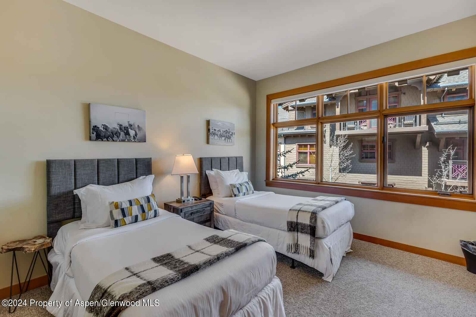 110 Carriage Way Snowmass Village CO 81615