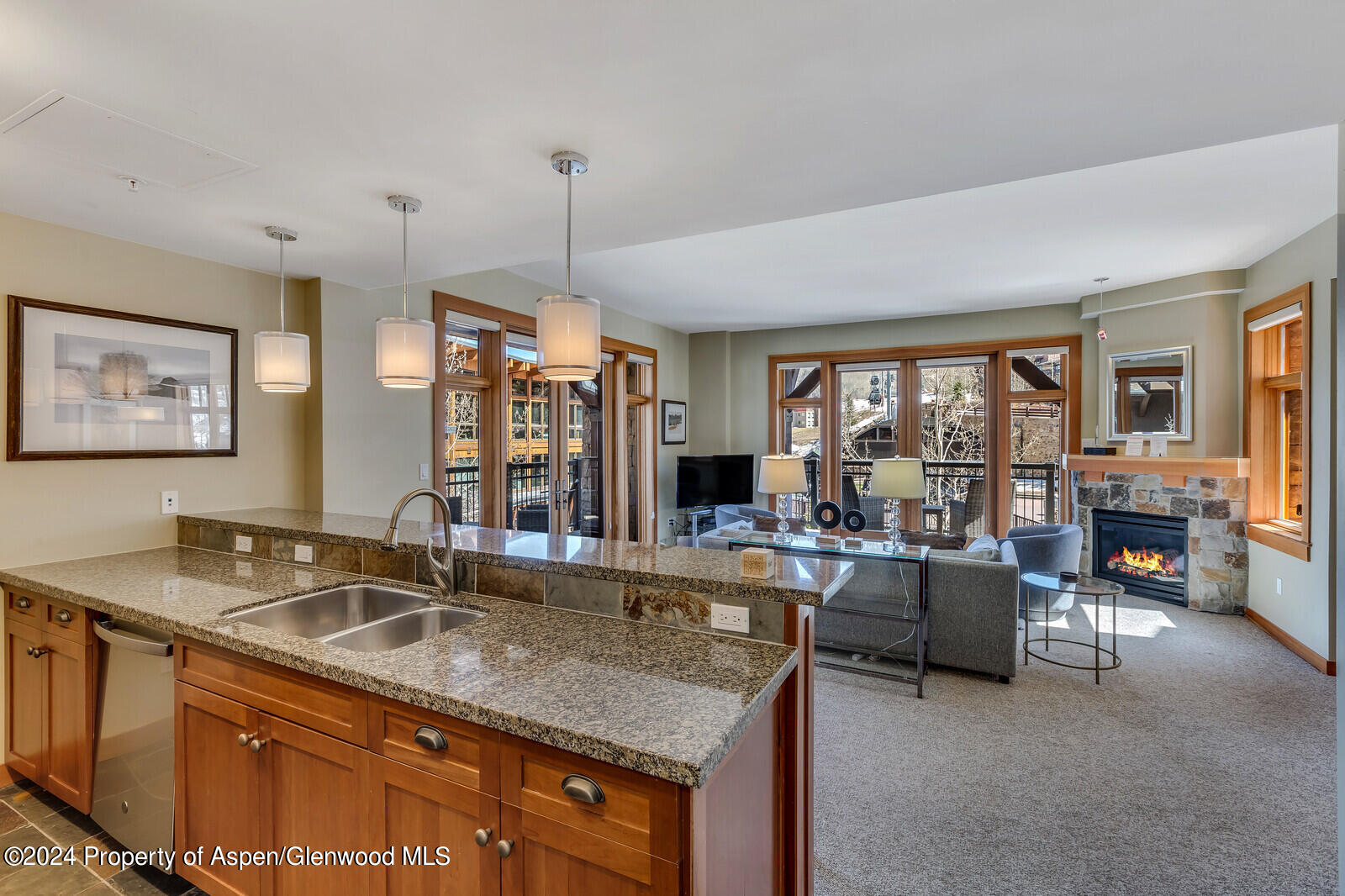 110 Carriage Way Snowmass Village CO 81615