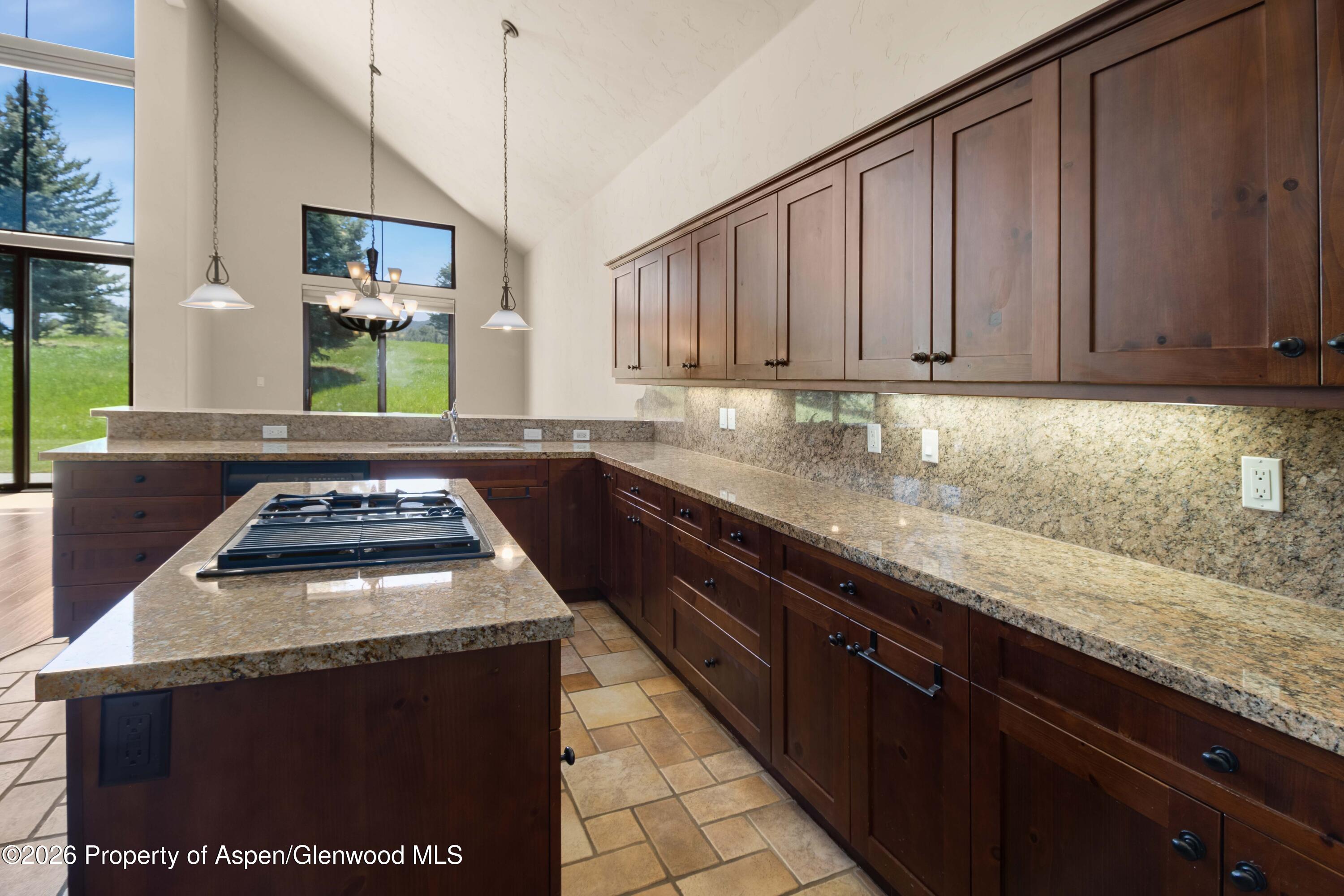 29 Primrose Road Carbondale CO 81623