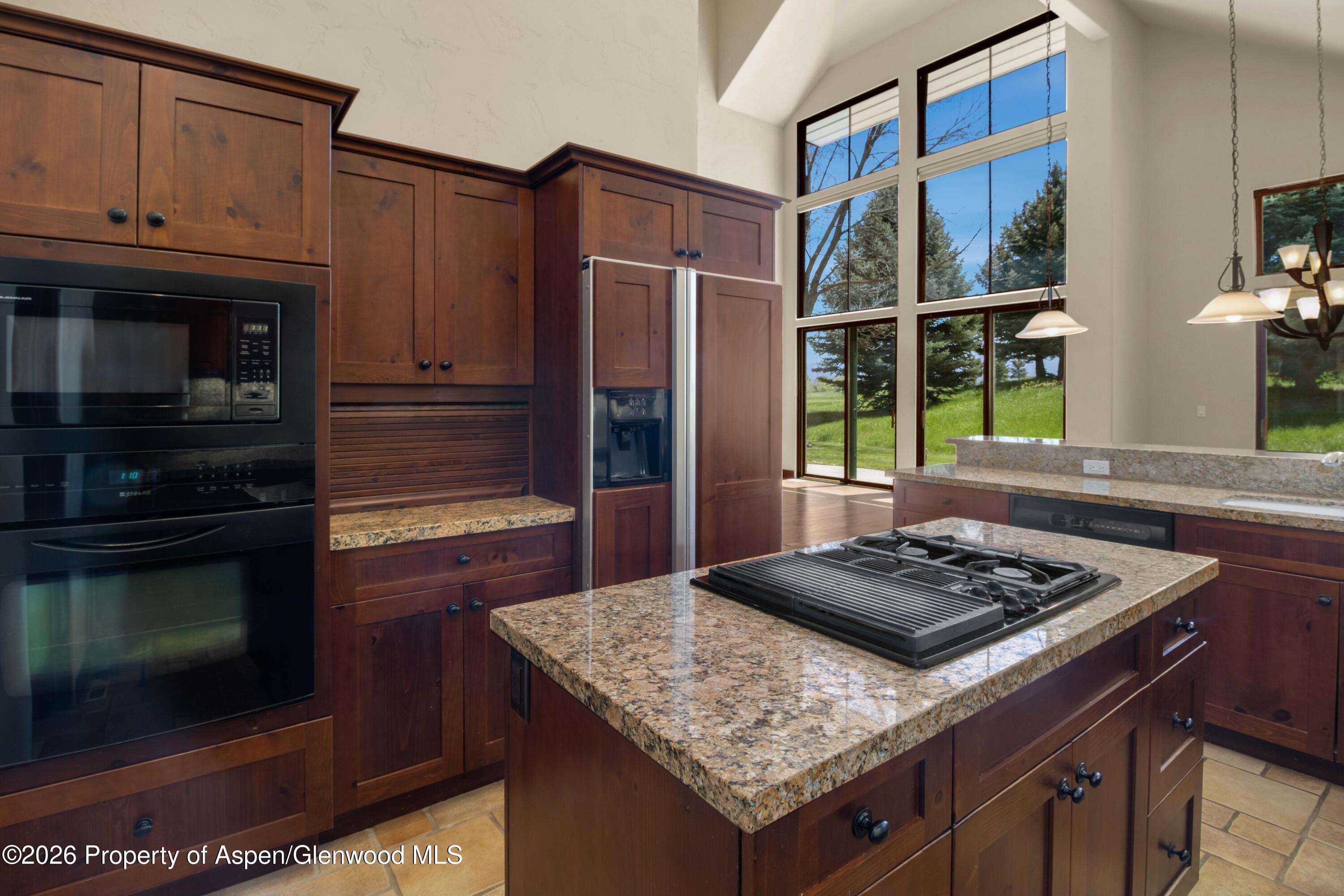 29 Primrose Road Carbondale CO 81623