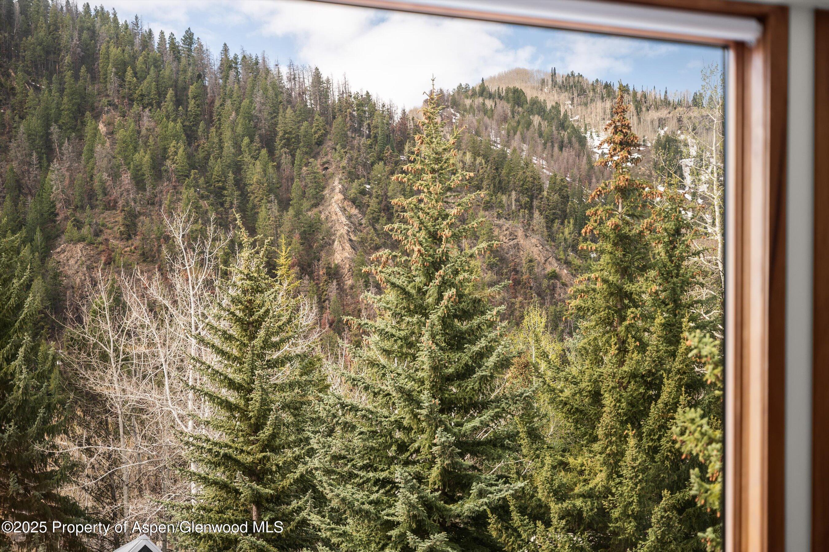 926 Waters Avenue Aspen CO 81611