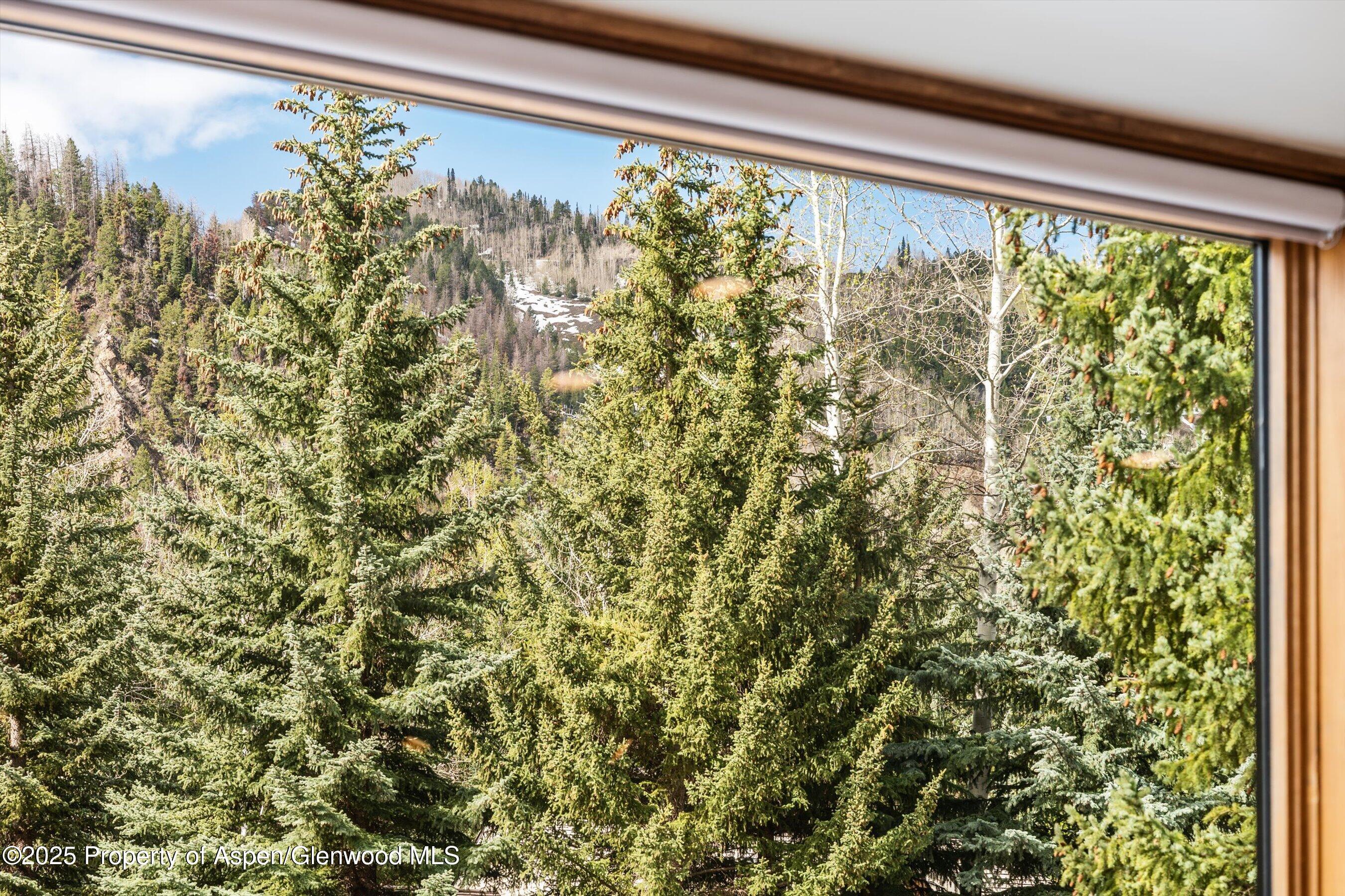 926 Waters Avenue Aspen CO 81611