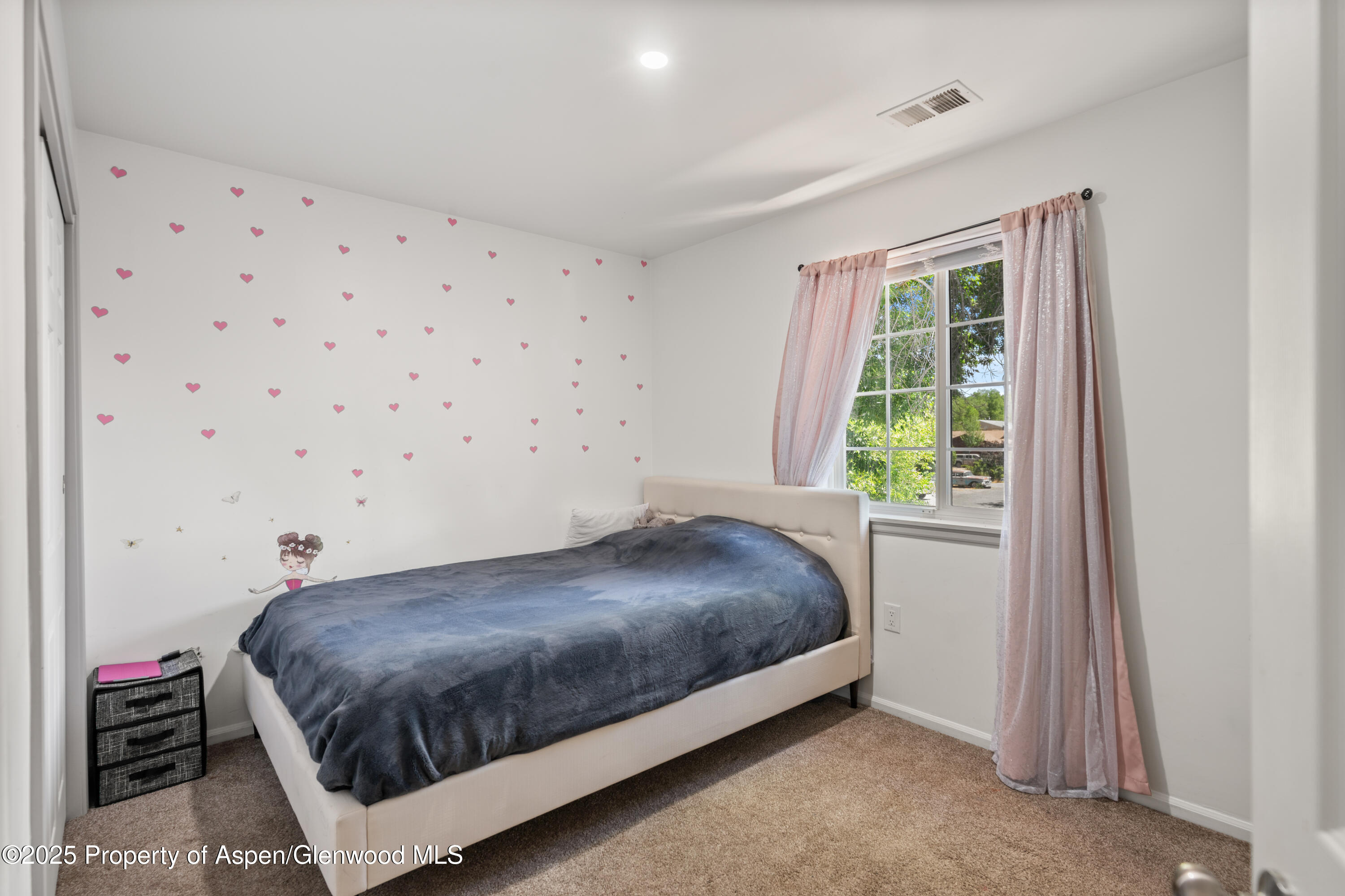 1217 Domelby Court Silt CO 81652