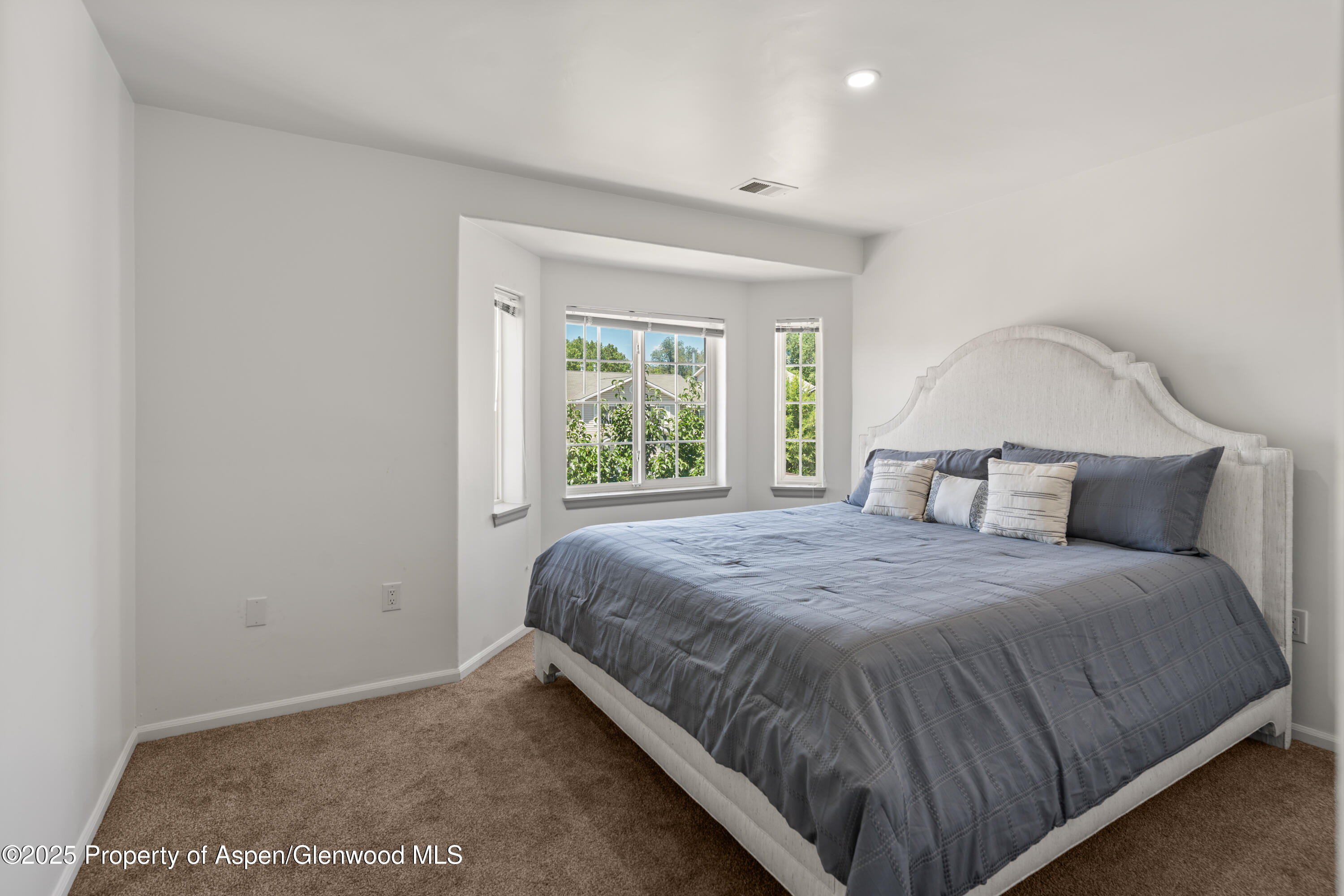 1217 Domelby Court Silt CO 81652