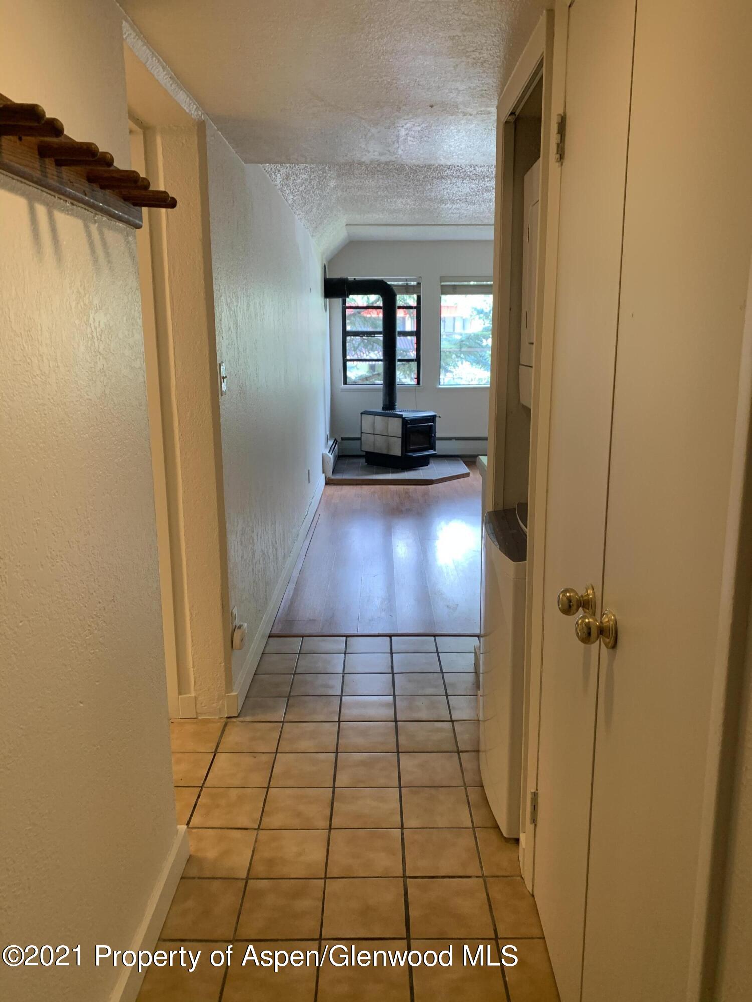 930 Vine Street Aspen CO 81611