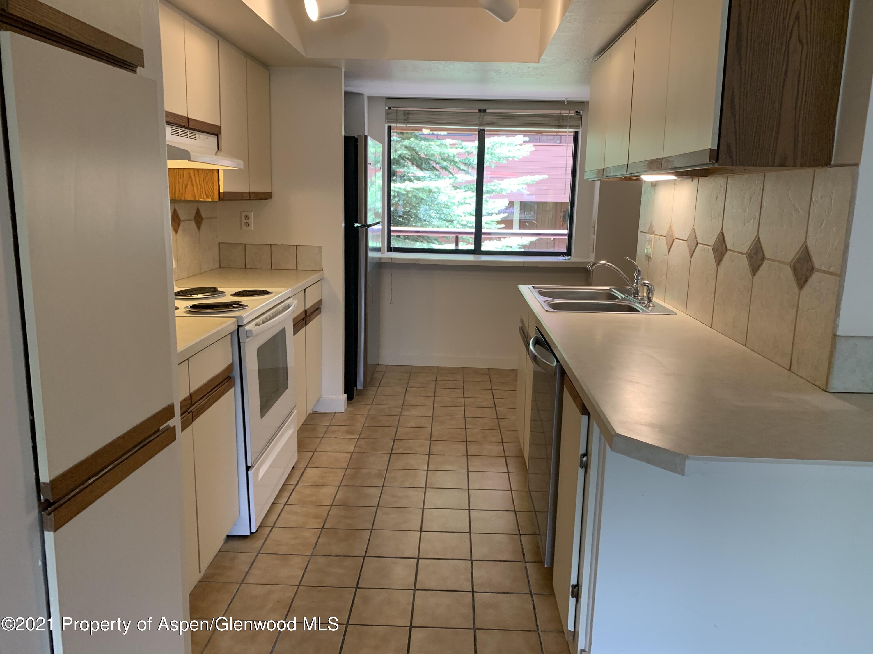 930 Vine Street Aspen CO 81611