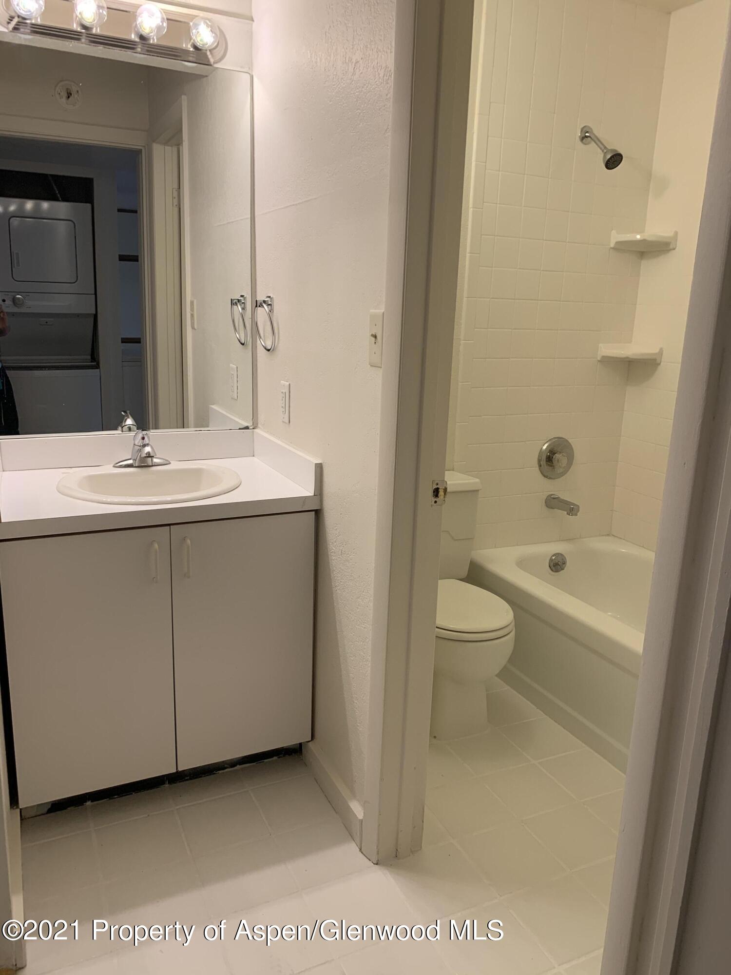 930 Vine Street Aspen CO 81611