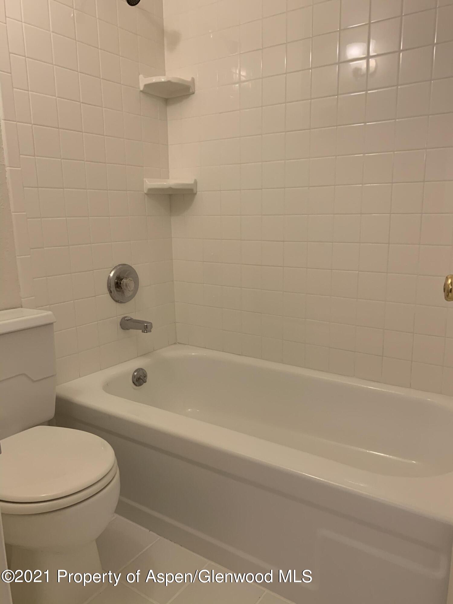 930 Vine Street Aspen CO 81611