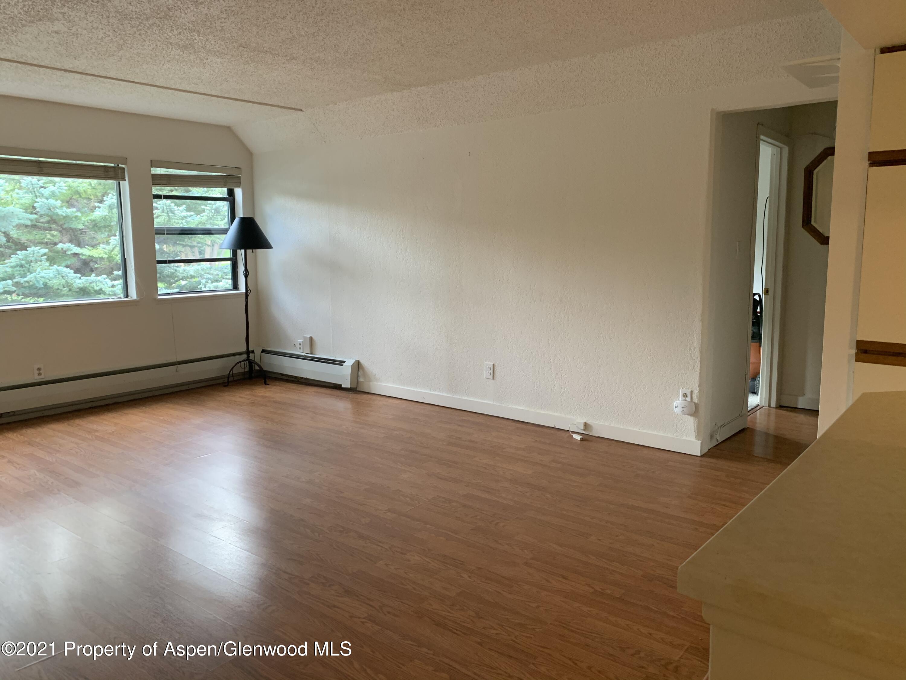 930 Vine Street Aspen CO 81611