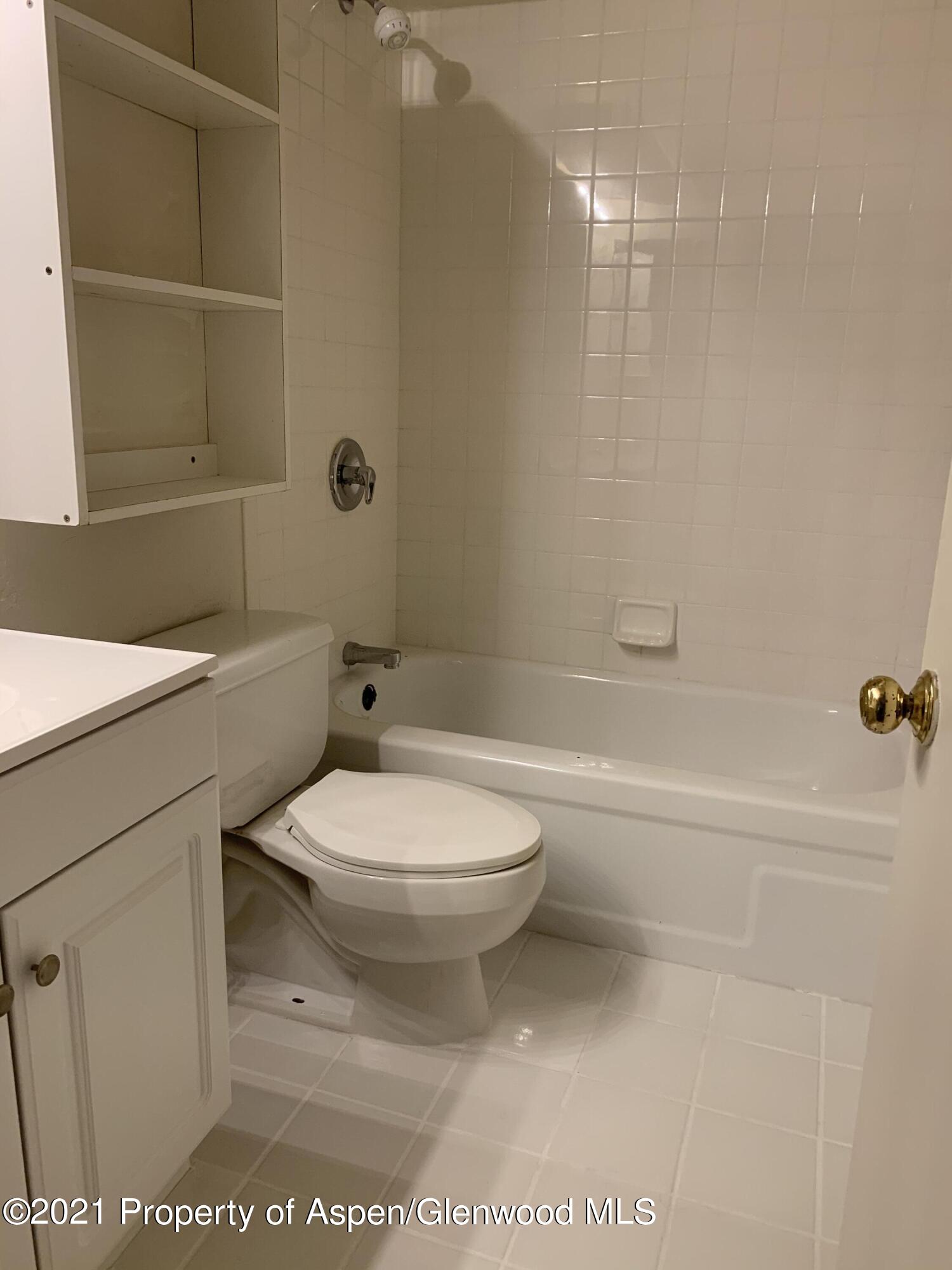 930 Vine Street Aspen CO 81611