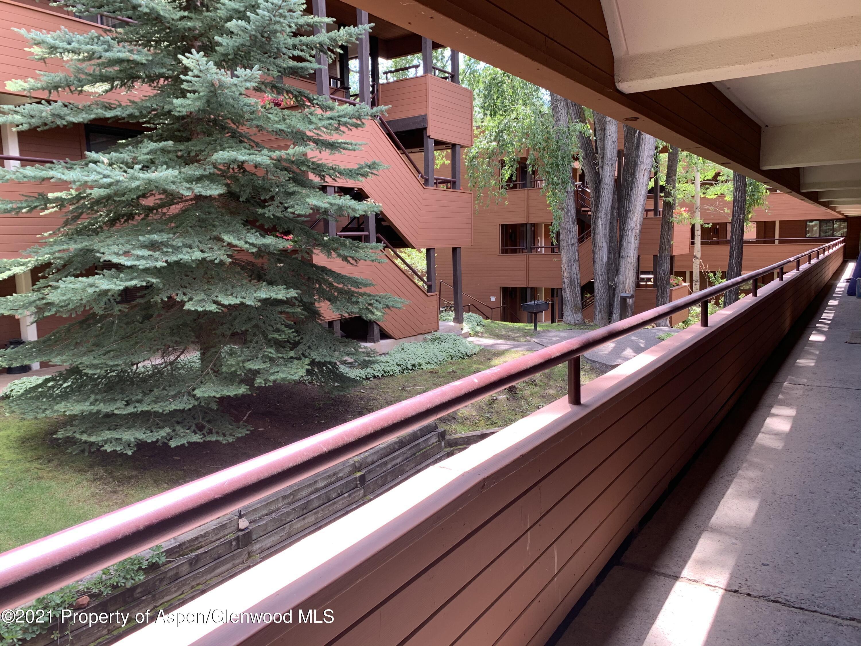 930 Vine Street Aspen CO 81611