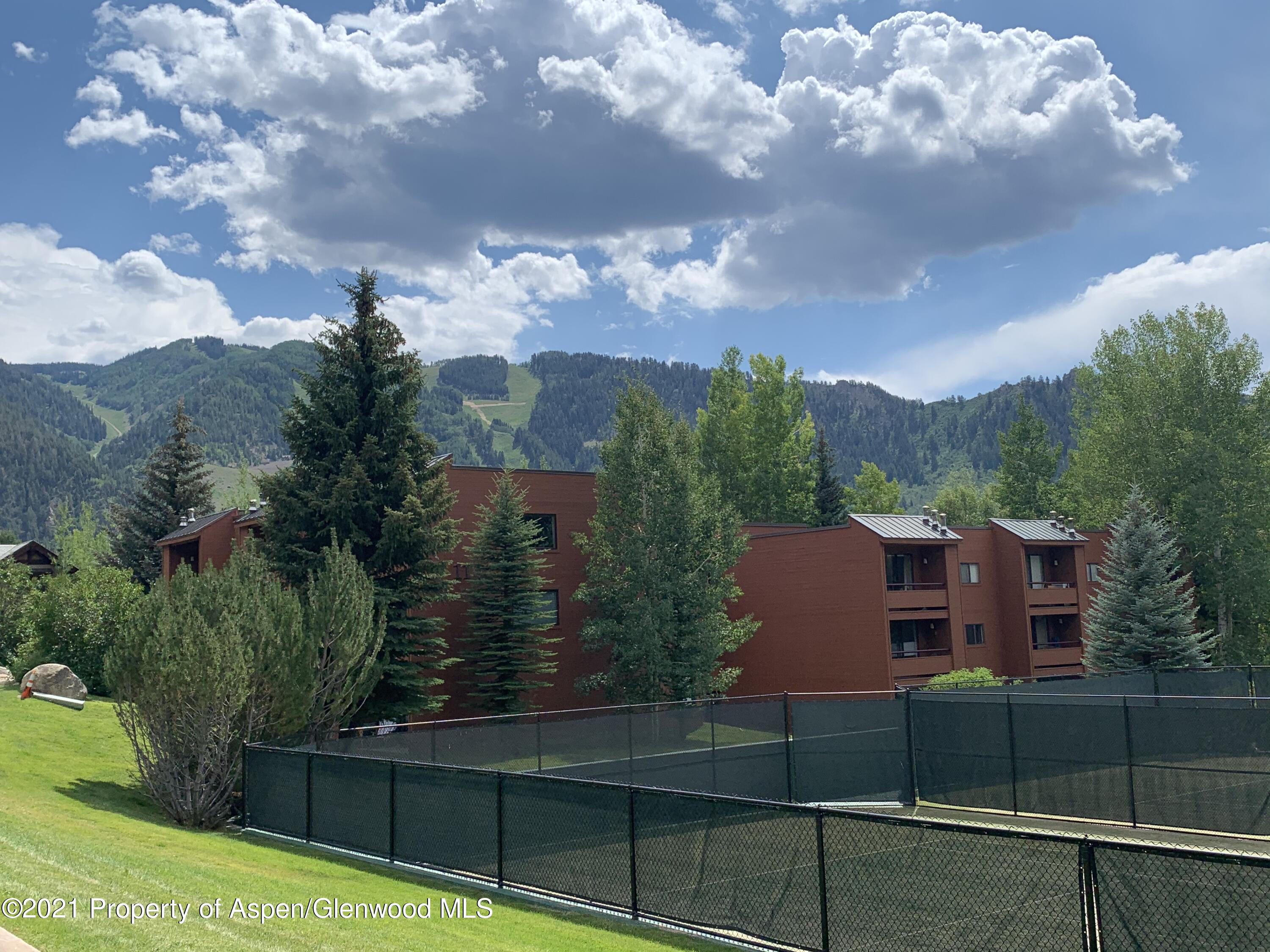 930 Vine Street Aspen CO 81611