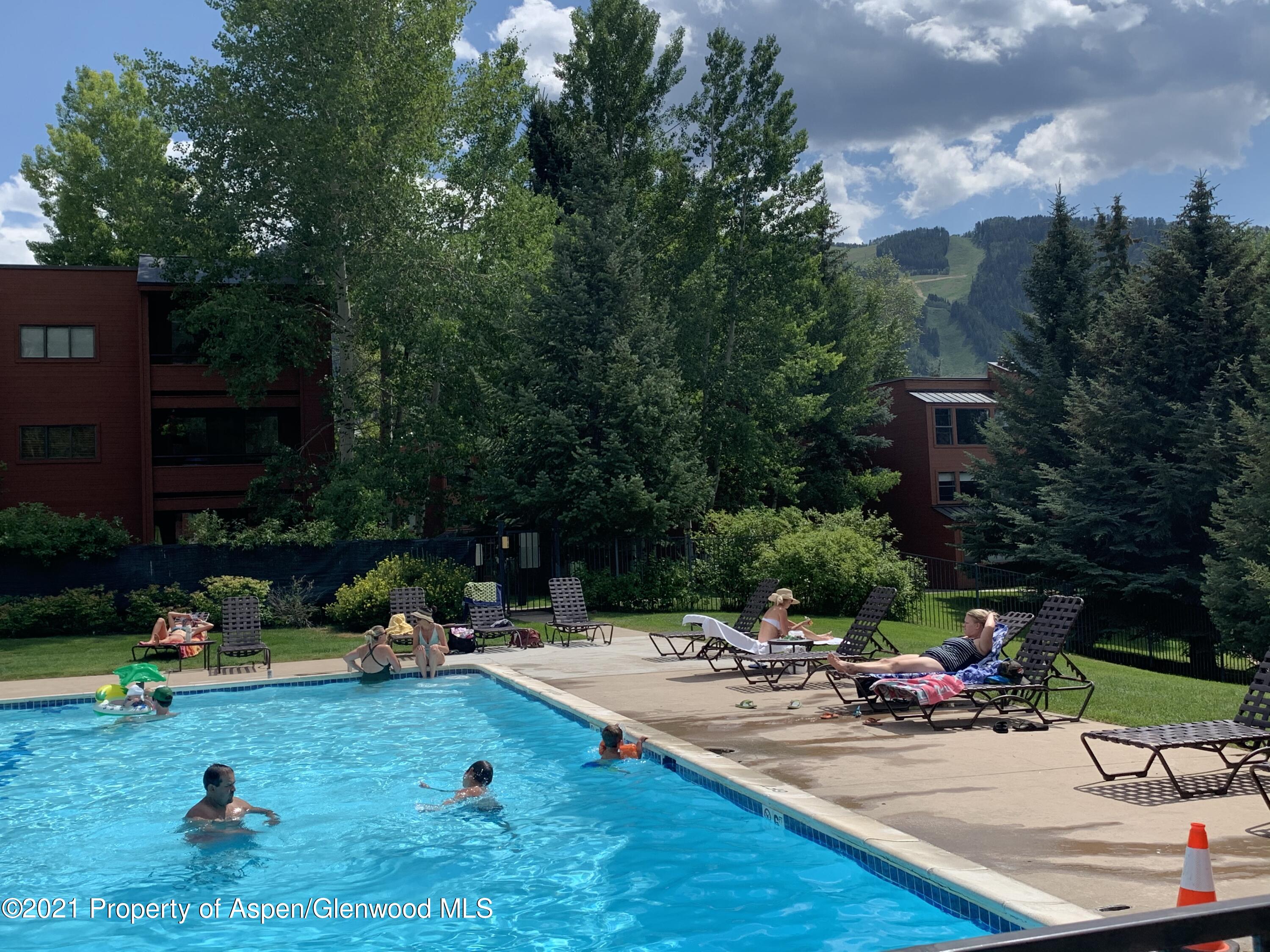 930 Vine Street Aspen CO 81611