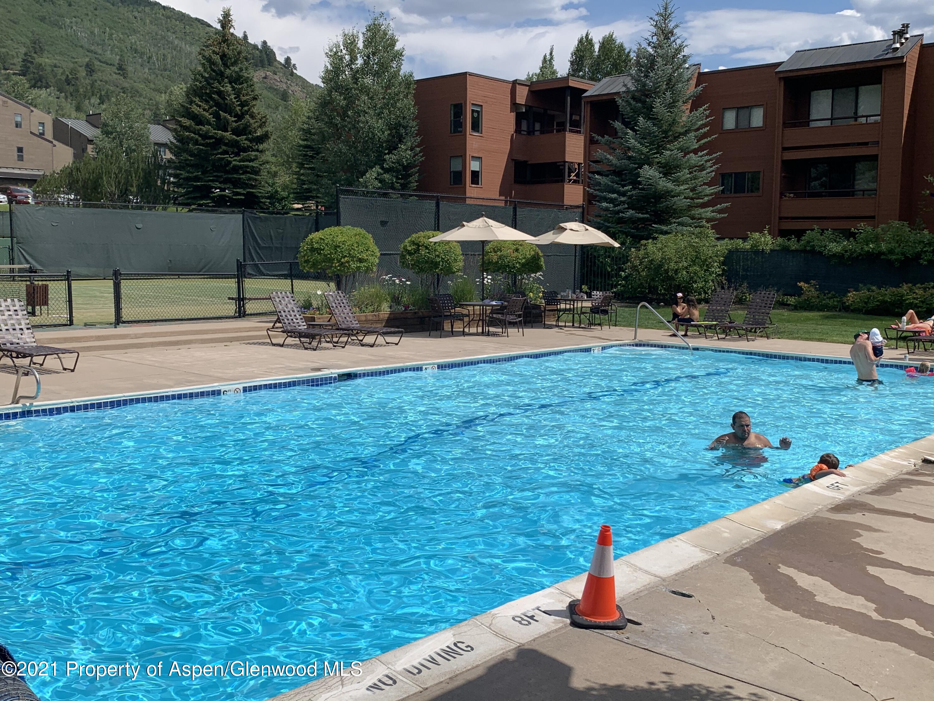 930 Vine Street Aspen CO 81611