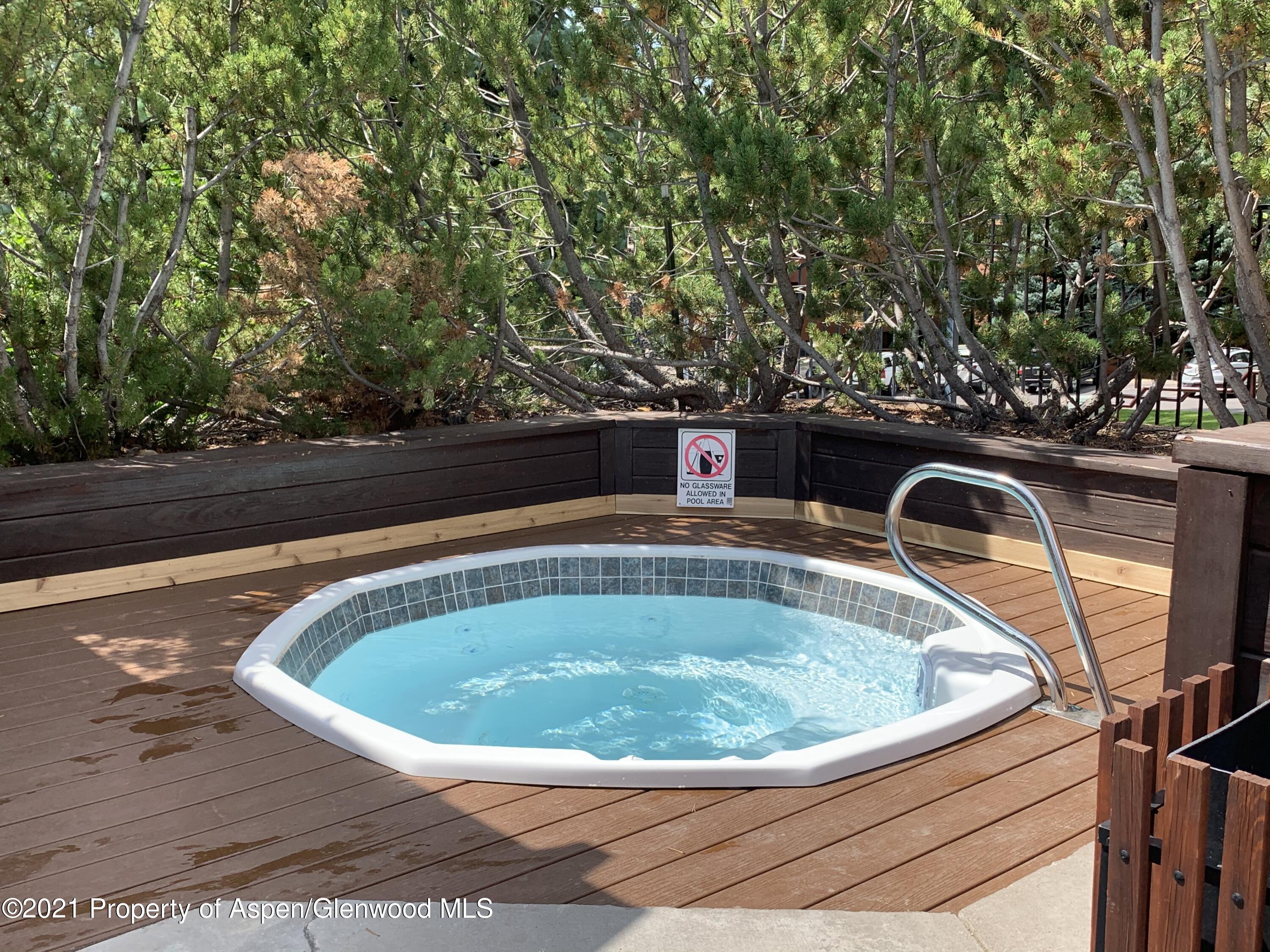 930 Vine Street Aspen CO 81611