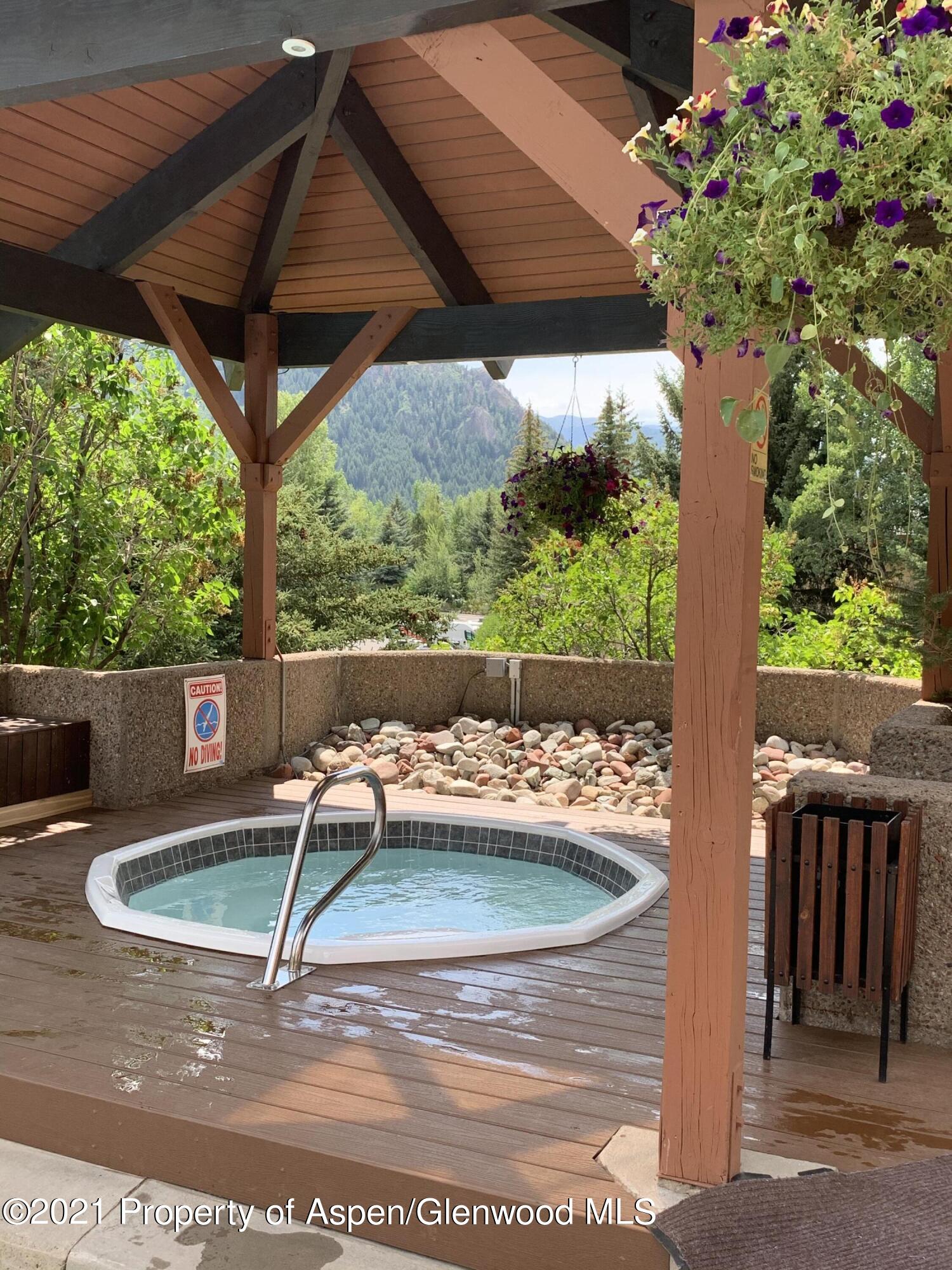 930 Vine Street Aspen CO 81611