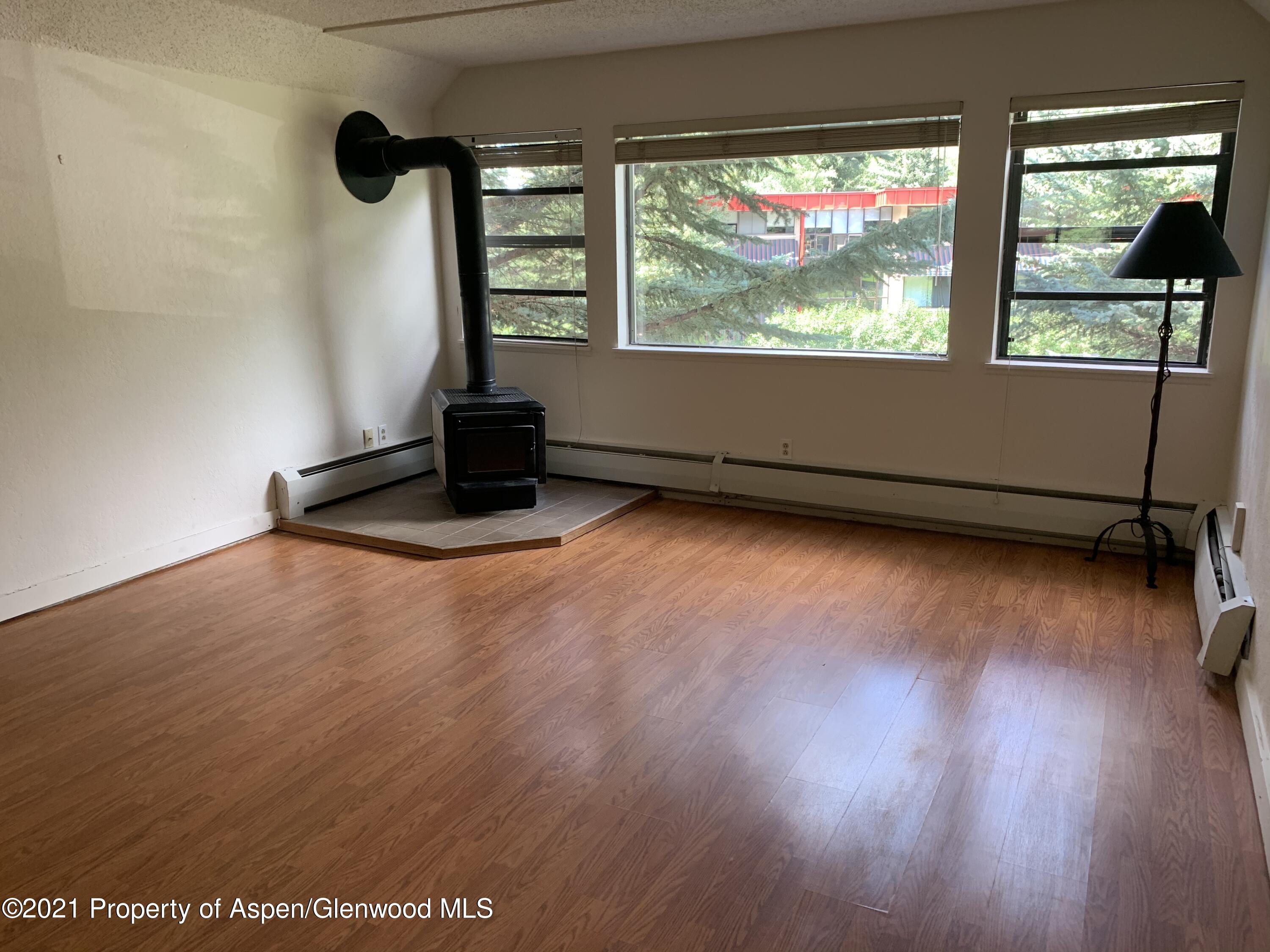 930 Vine Street Aspen CO 81611