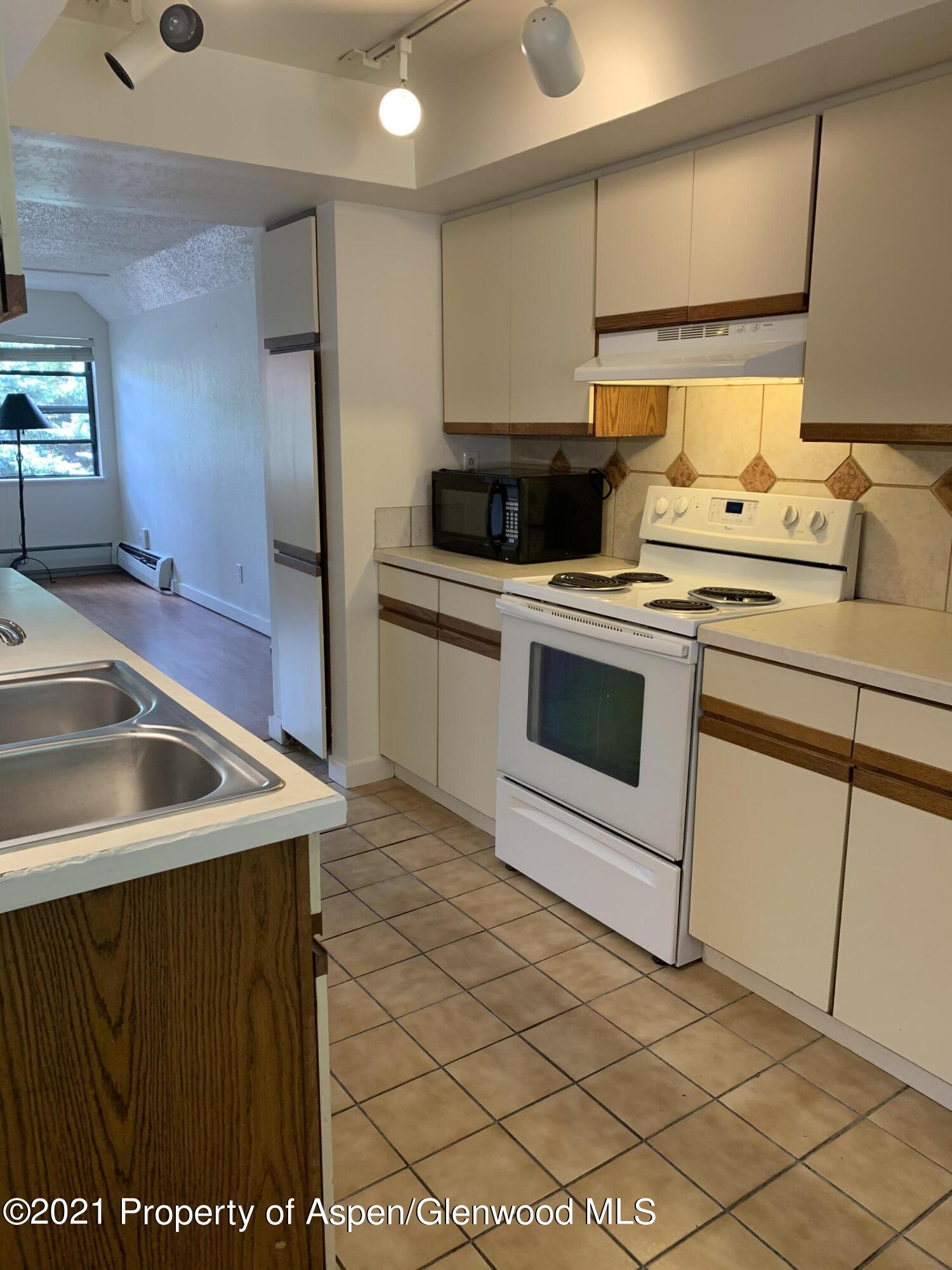 930 Vine Street Aspen CO 81611