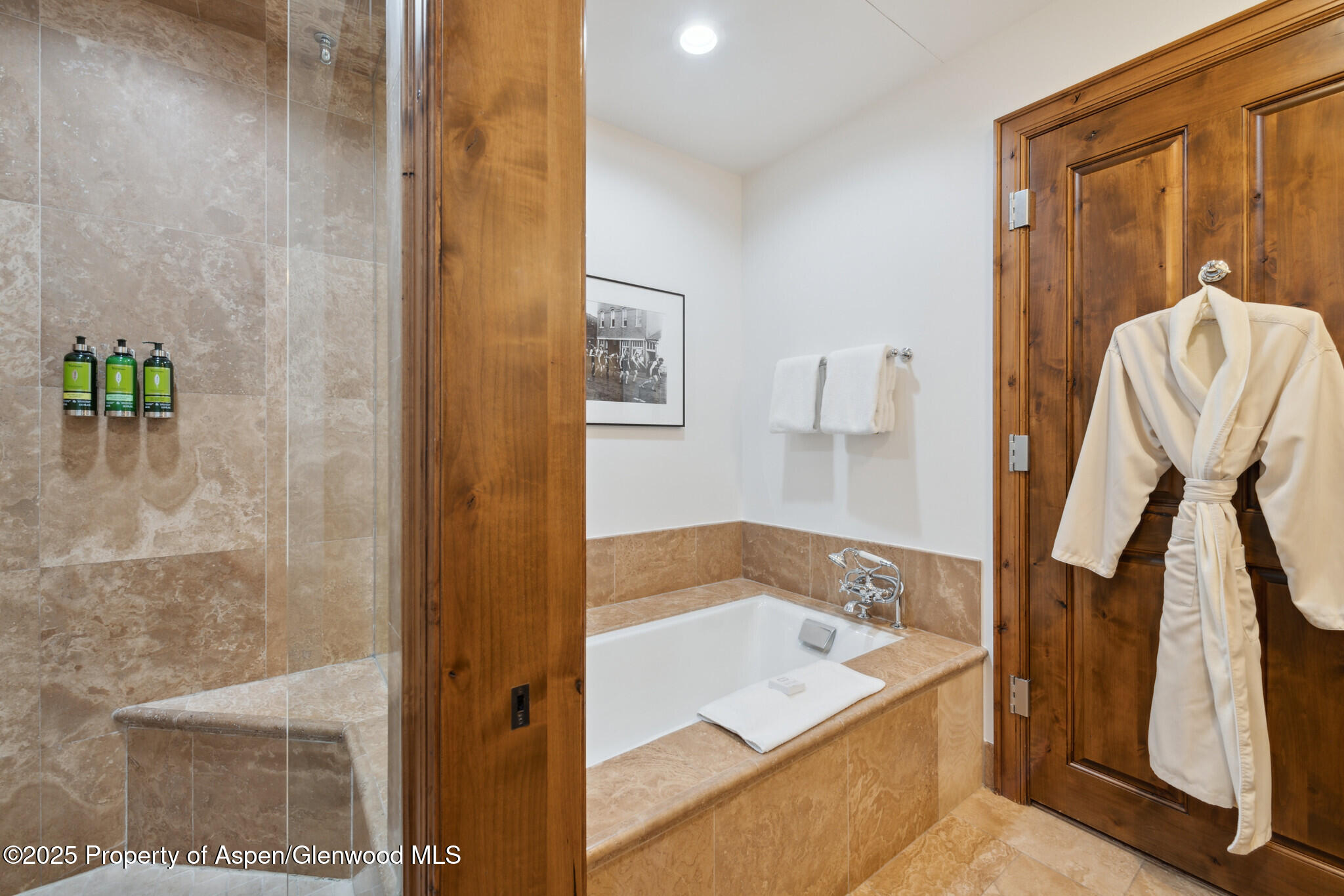 415 E Dean Street Unit 1, Week 29 Street Aspen CO 81611