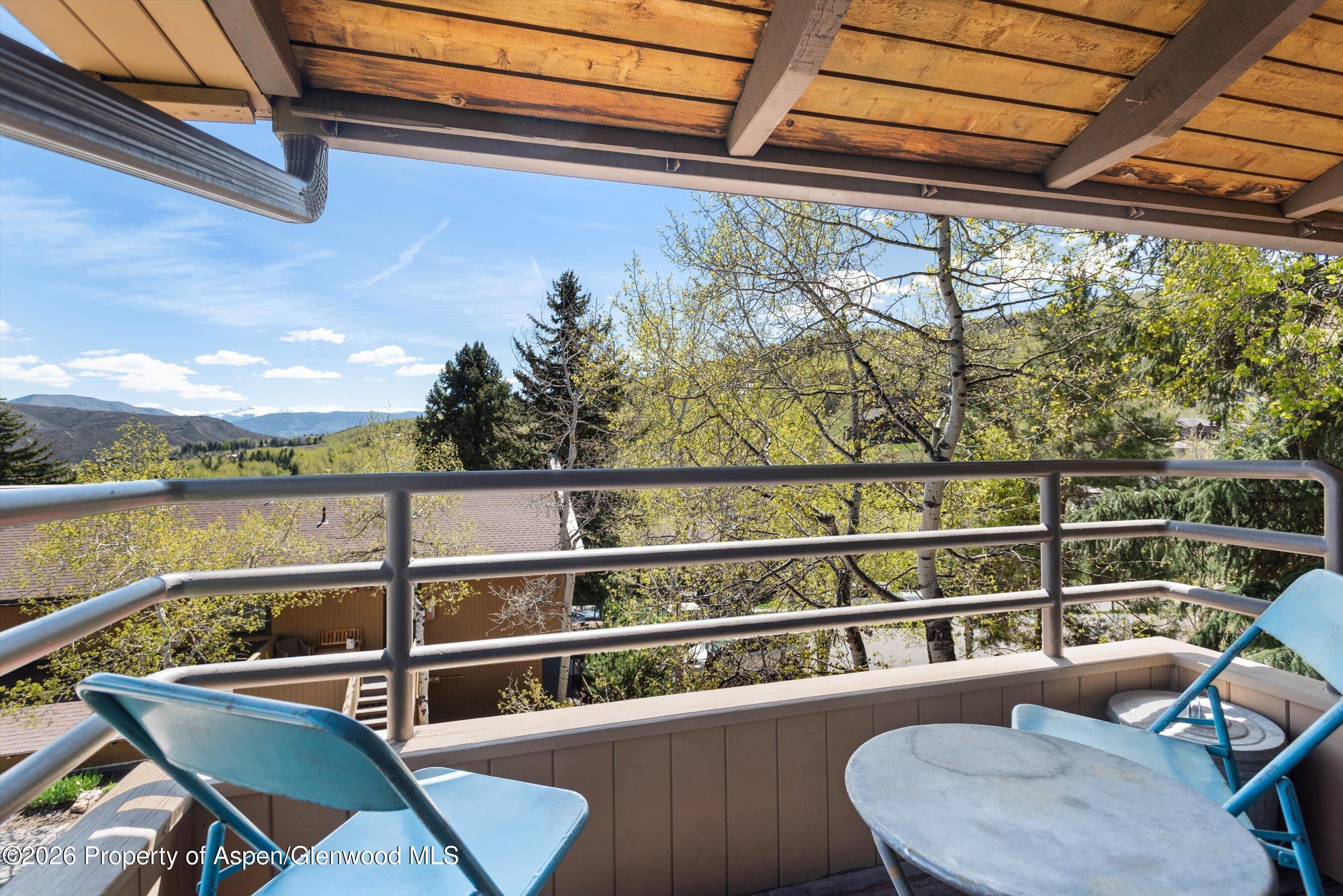 35 Lower Woodbridge Road Snowmass Village CO 81615