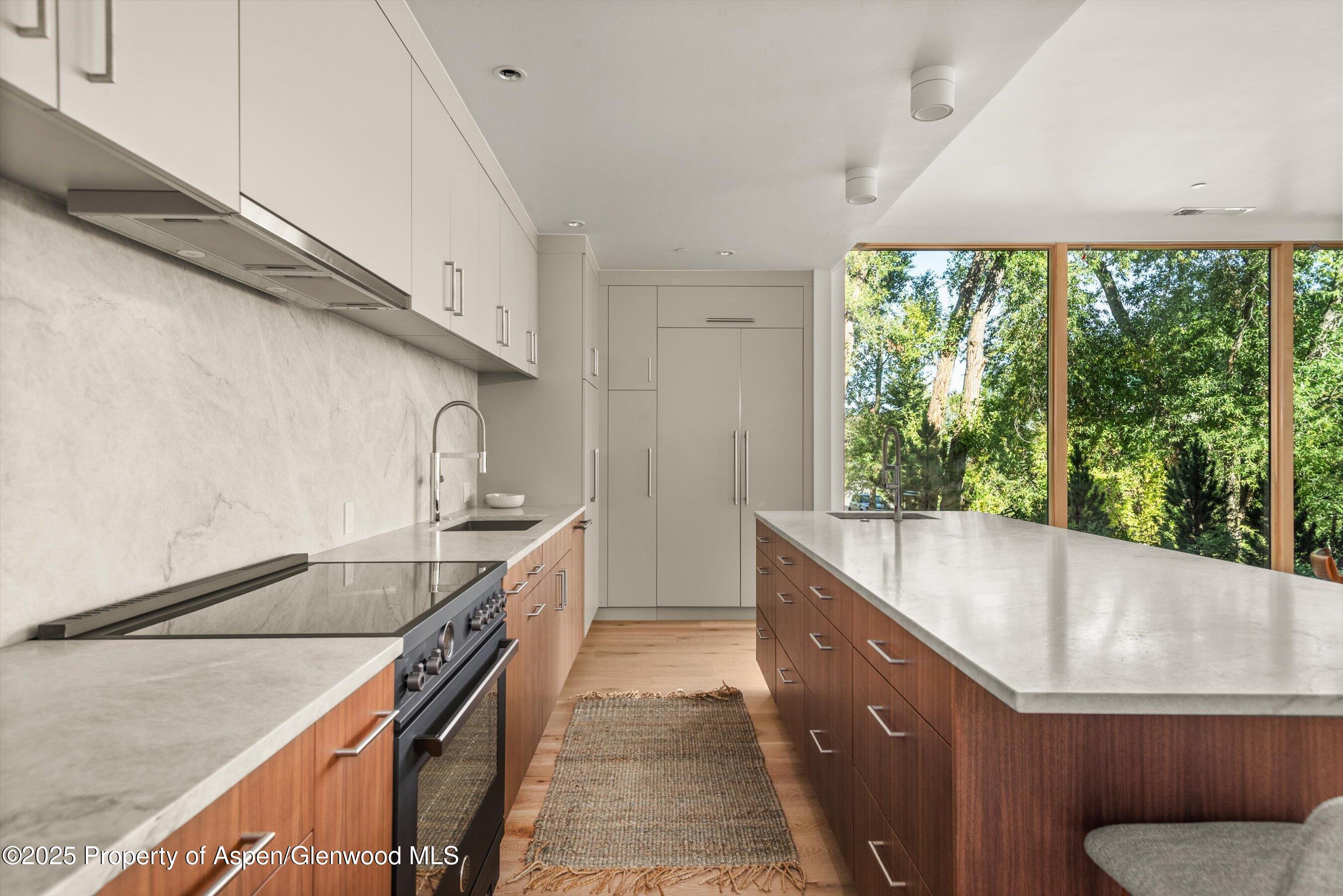 103 Willow Road Basalt CO 81621