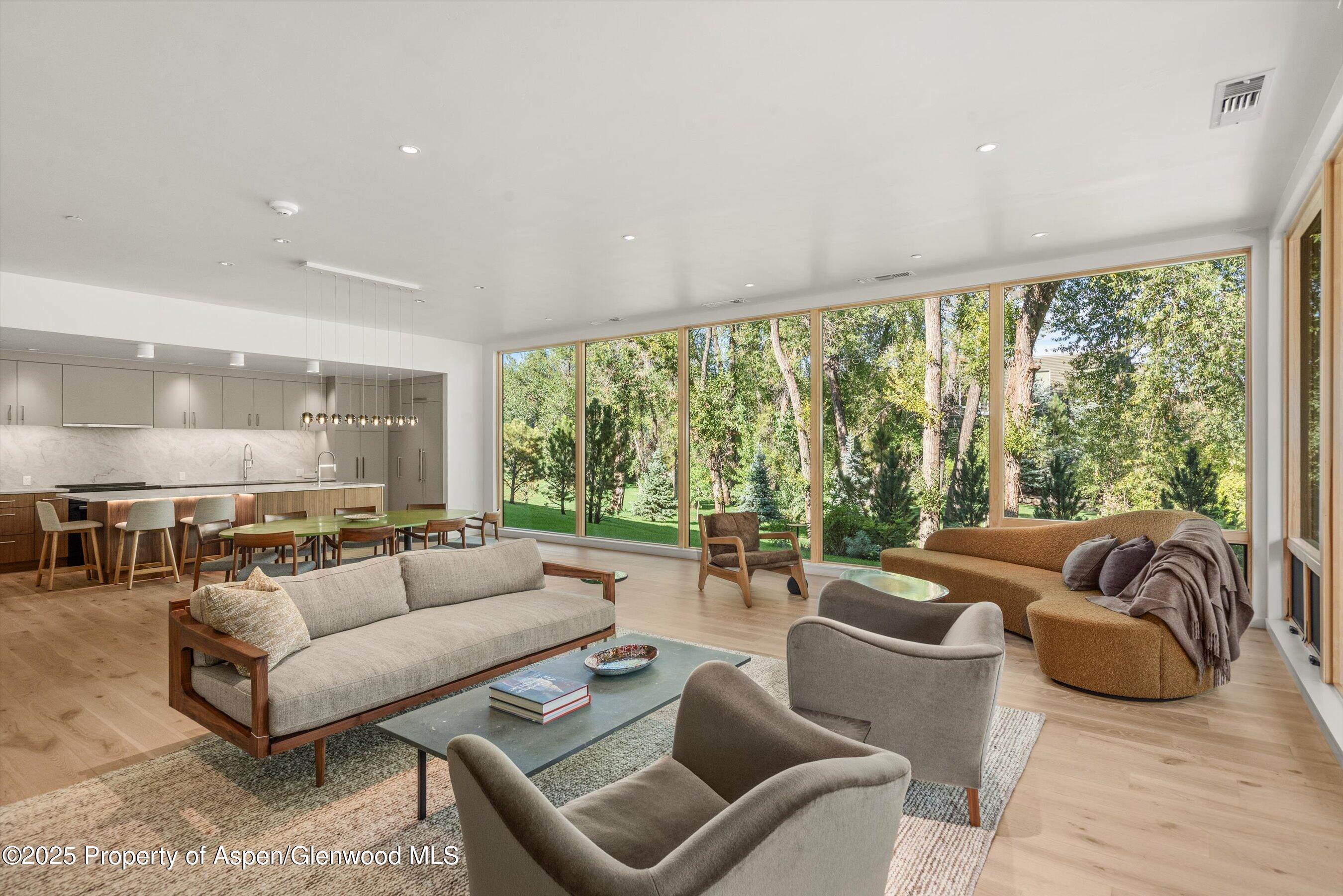 103 Willow Road Basalt CO 81621