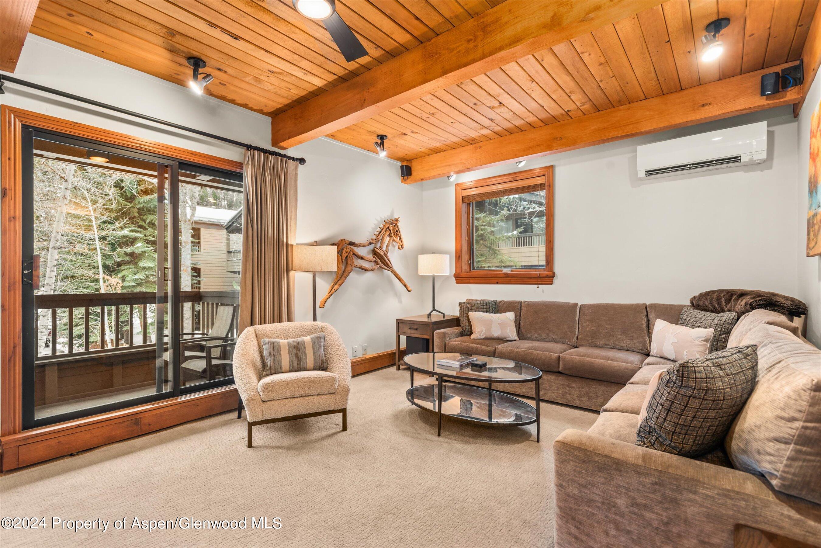 610 S West End Street Aspen CO 81611