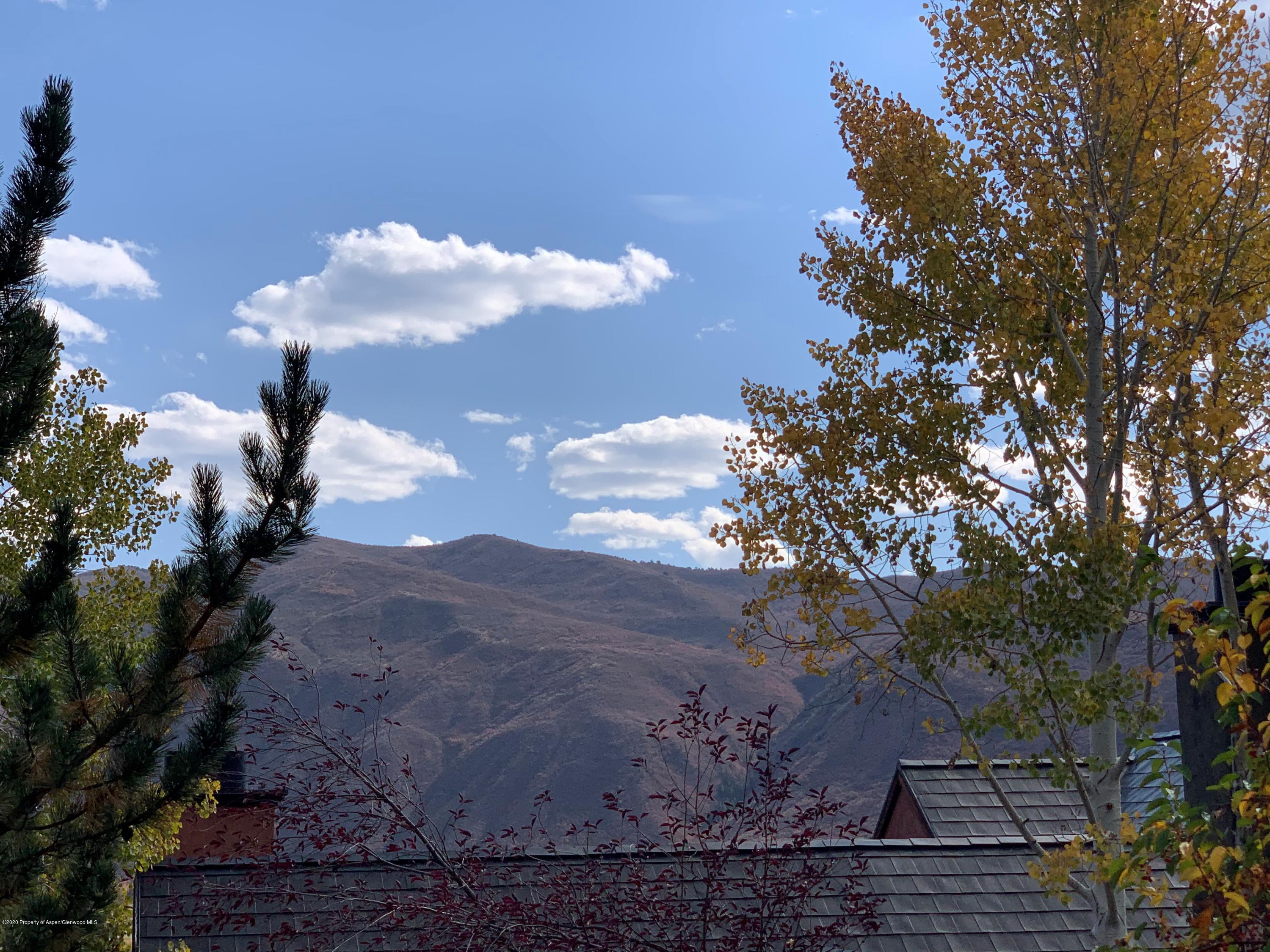 207 Wild Spring Lane Basalt CO 81621