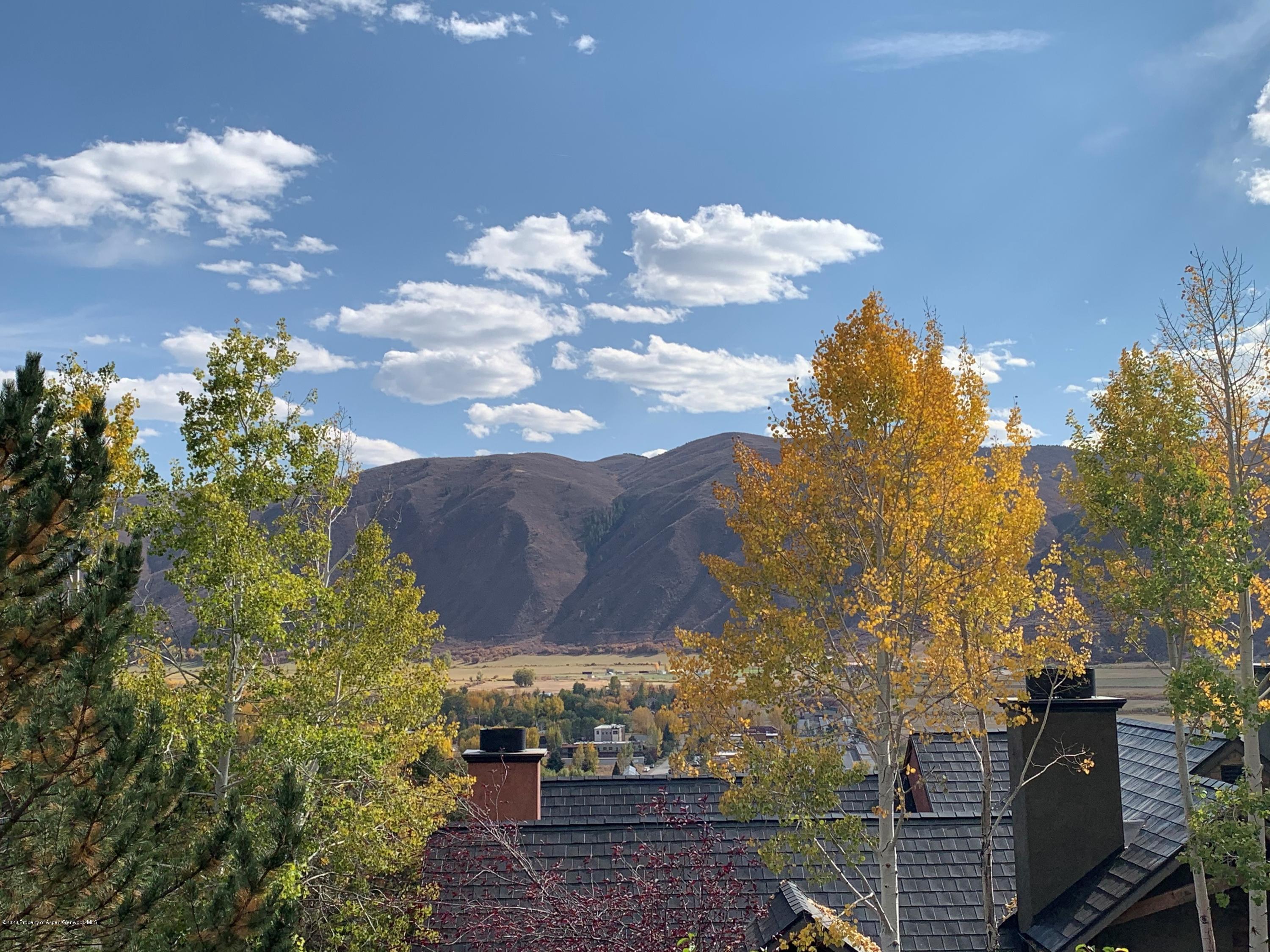 207 Wild Spring Lane Basalt CO 81621